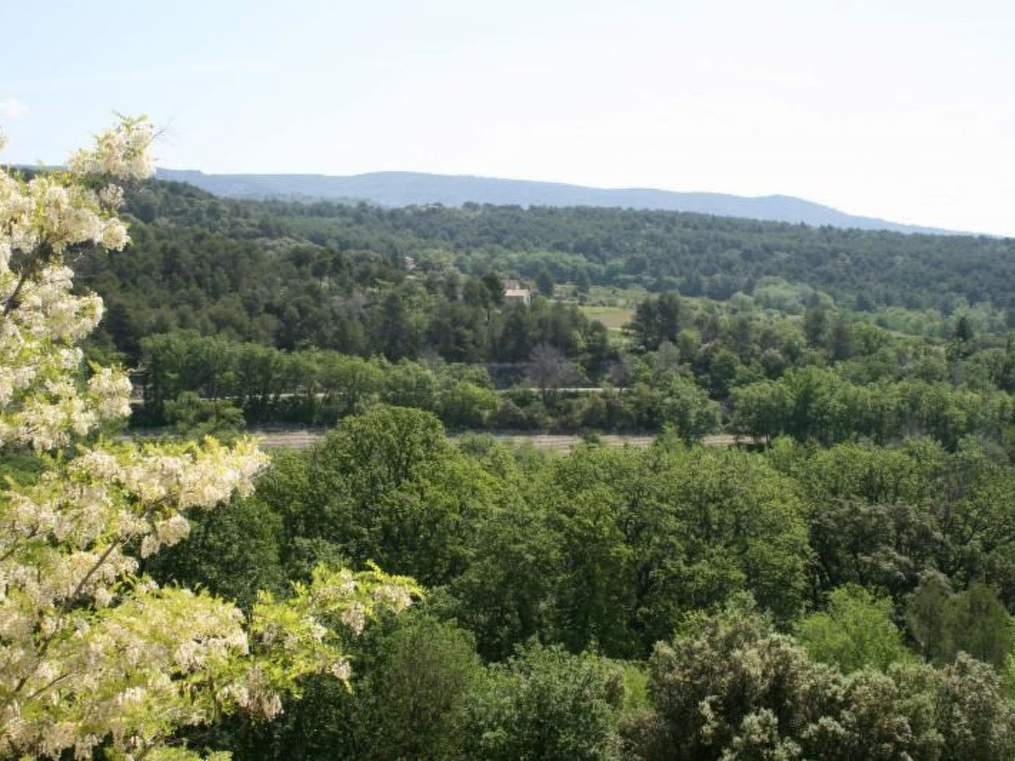 Photo of La Ribelle en Provence - Lou recati