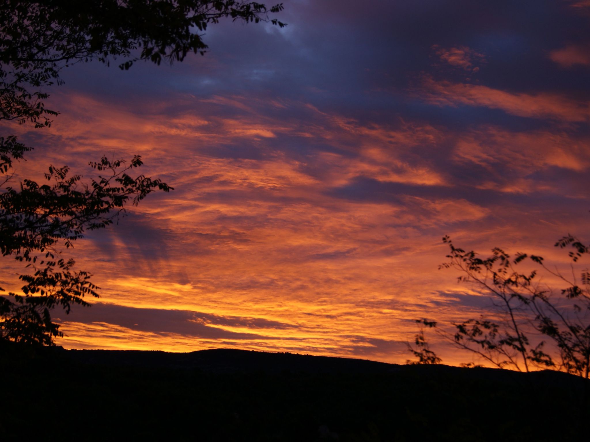 Photo of La Ribelle en Provence - Lou recati