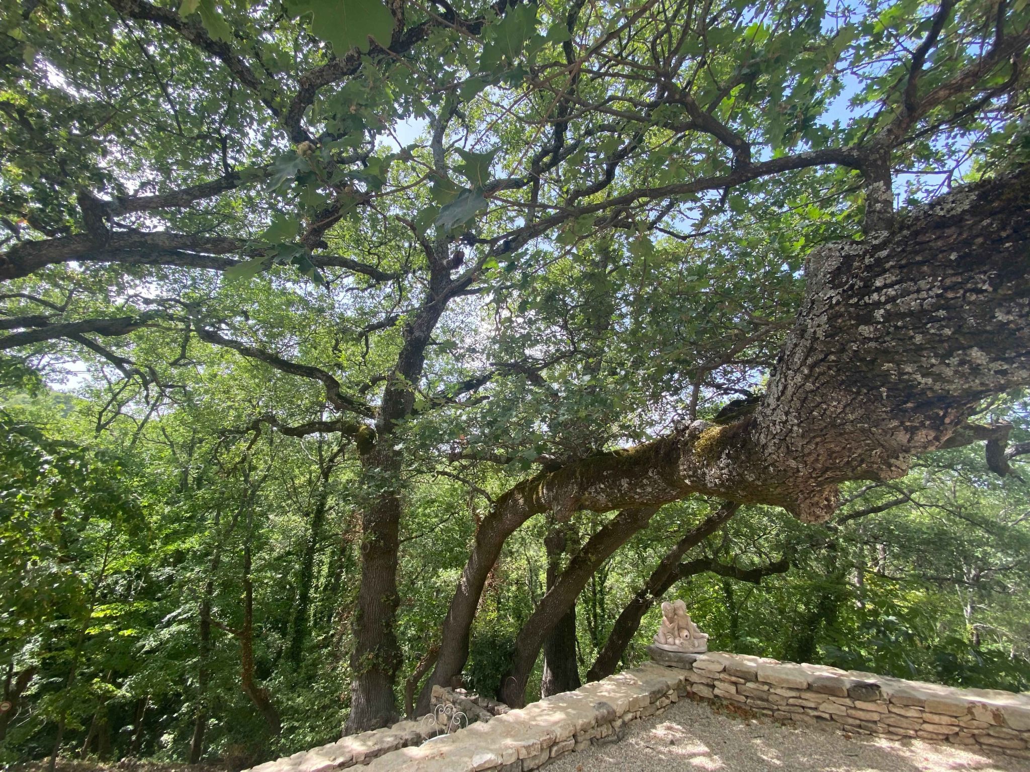 Domaine Santonne-Binnen