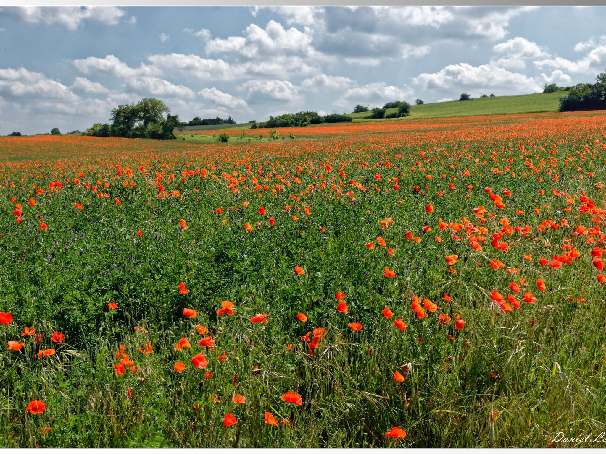 Morard - Bonnieux Appt Les Ocres-Binnen