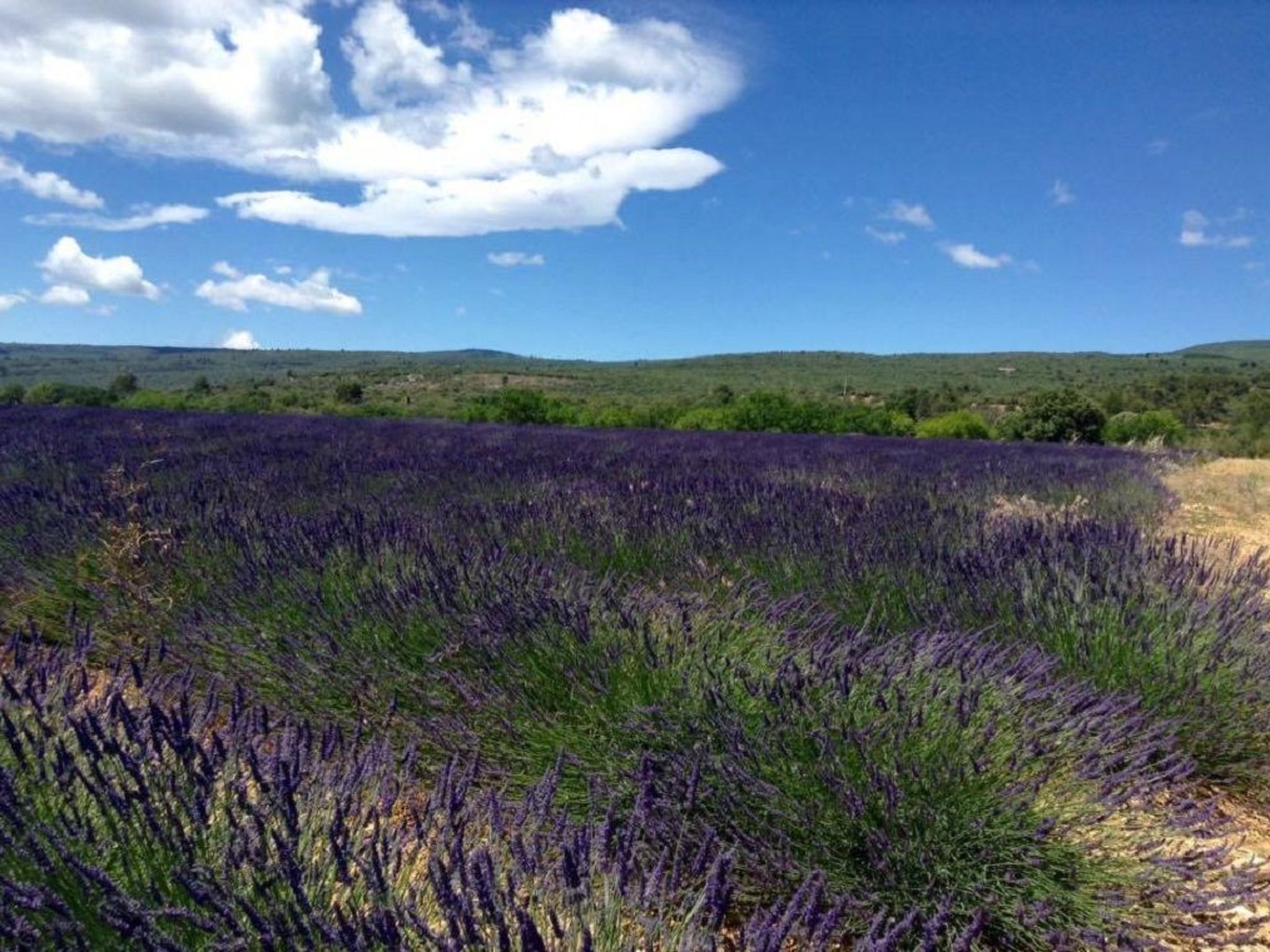 Morard - Bonnieux Appt Bleu Provence-Binnen