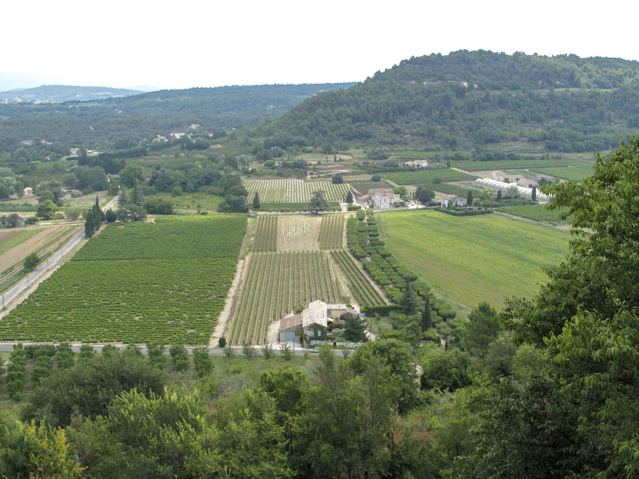 Photo of Les Vignes