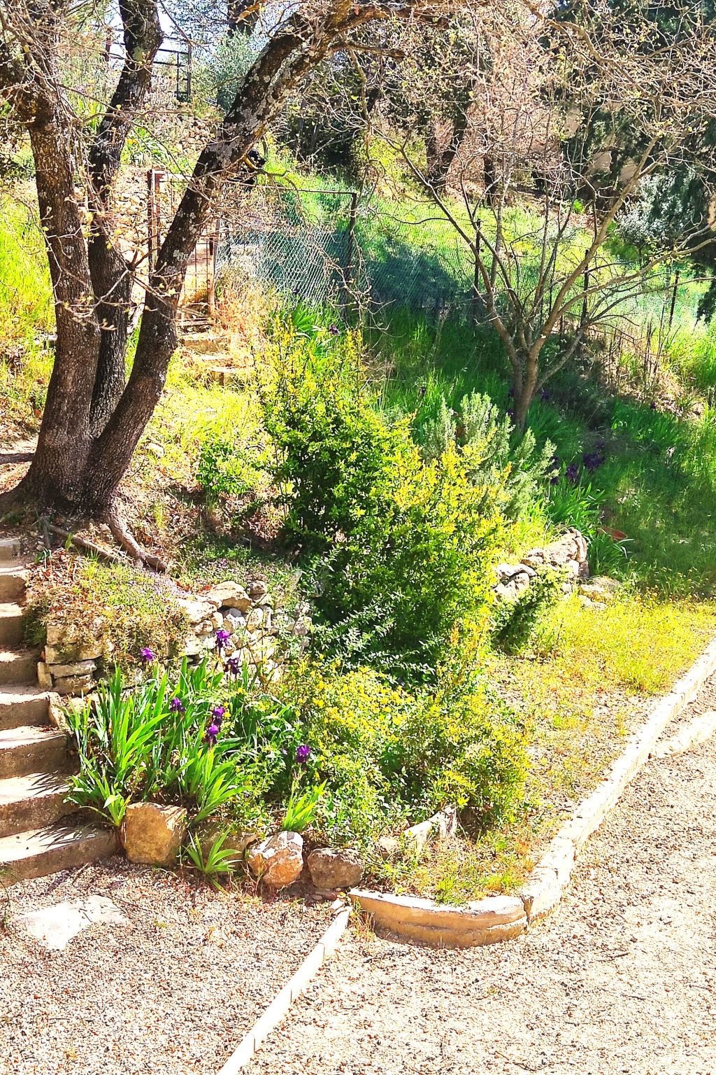 Villa Roche en Provence Süd Luberon-Image-tags.info