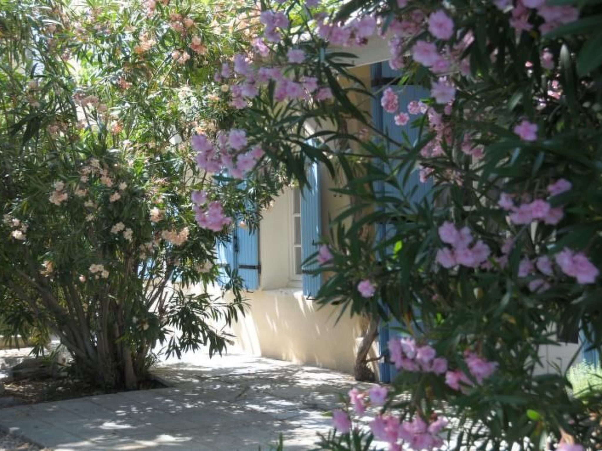 Bauernhaus mit Garten und Pool mit Bergblick - Image-tags.info