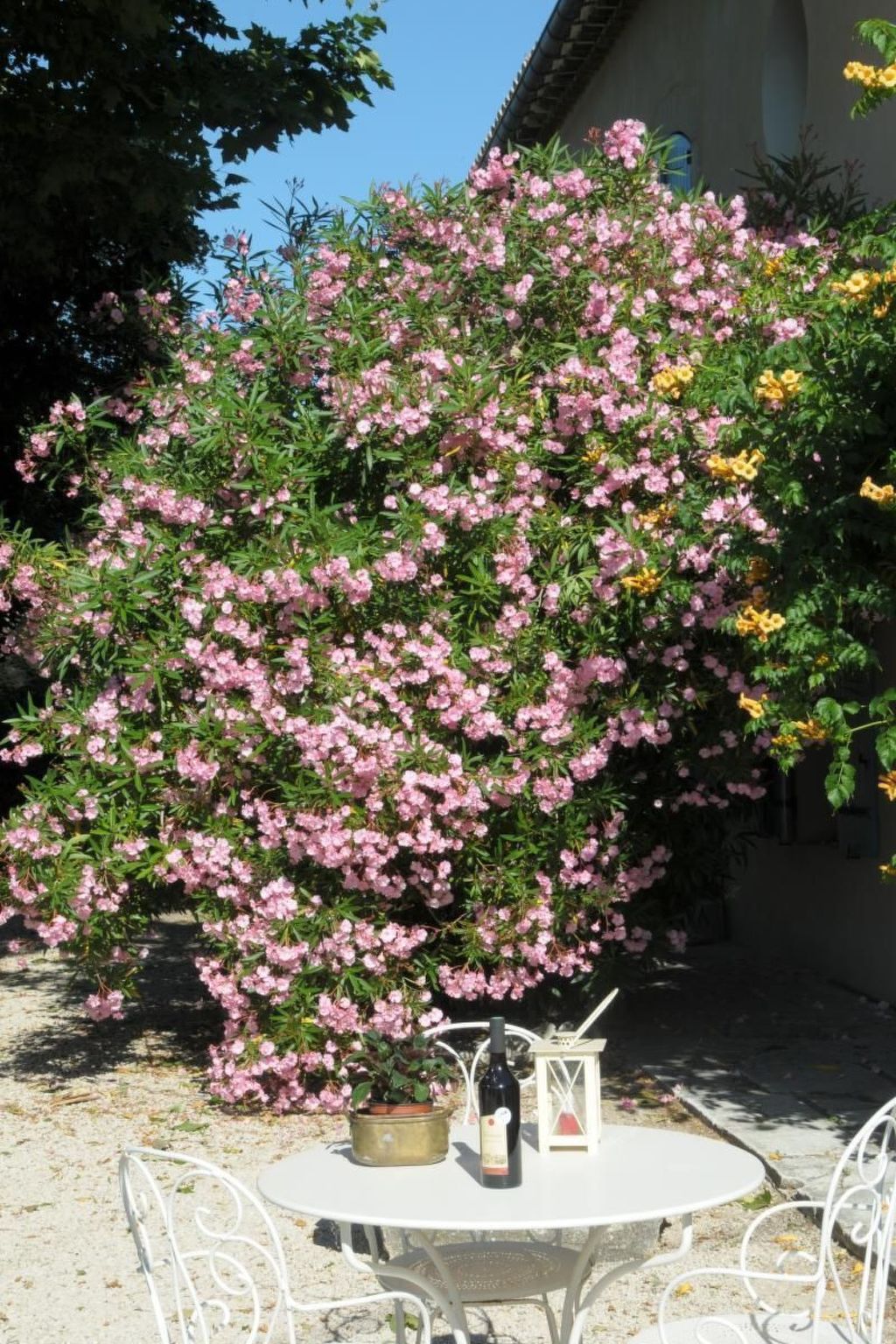 Bauernhaus mit Garten und Pool mit Bergblick - Image-tags.info