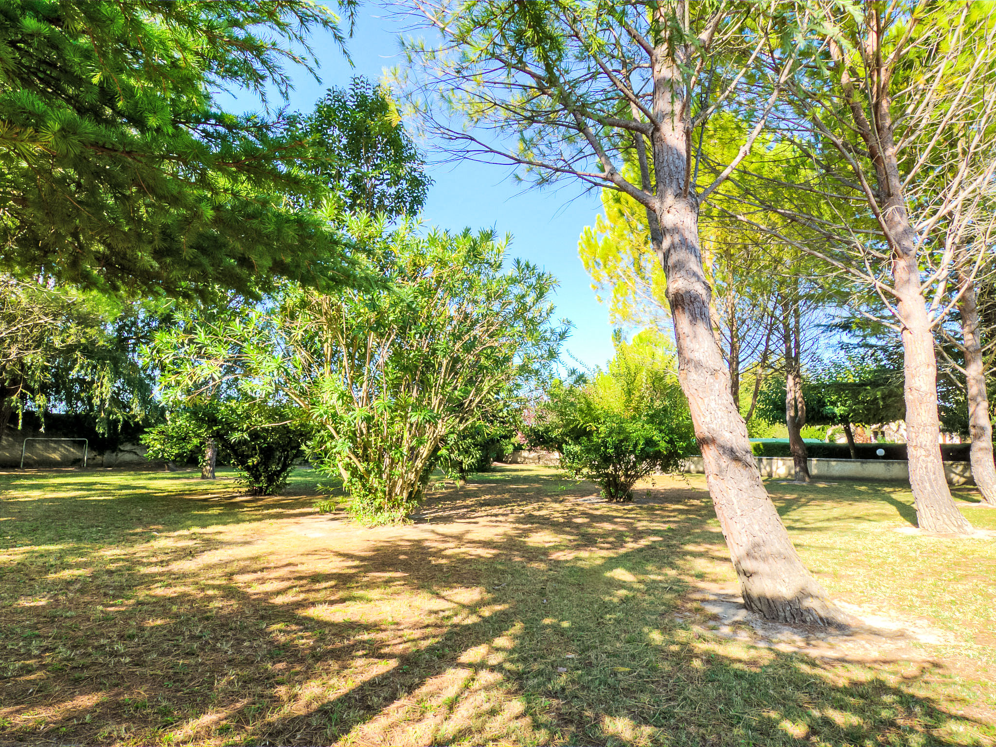 de la Roque — Terrace (5 of 40)
