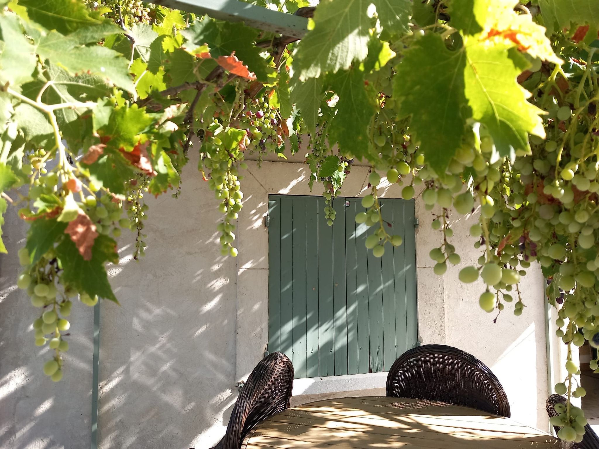 Charmantes Bauernhaus in der Provence-Binnen