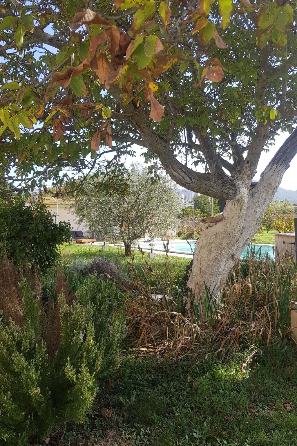 Charmantes Bauernhaus in der Provence-Binnen