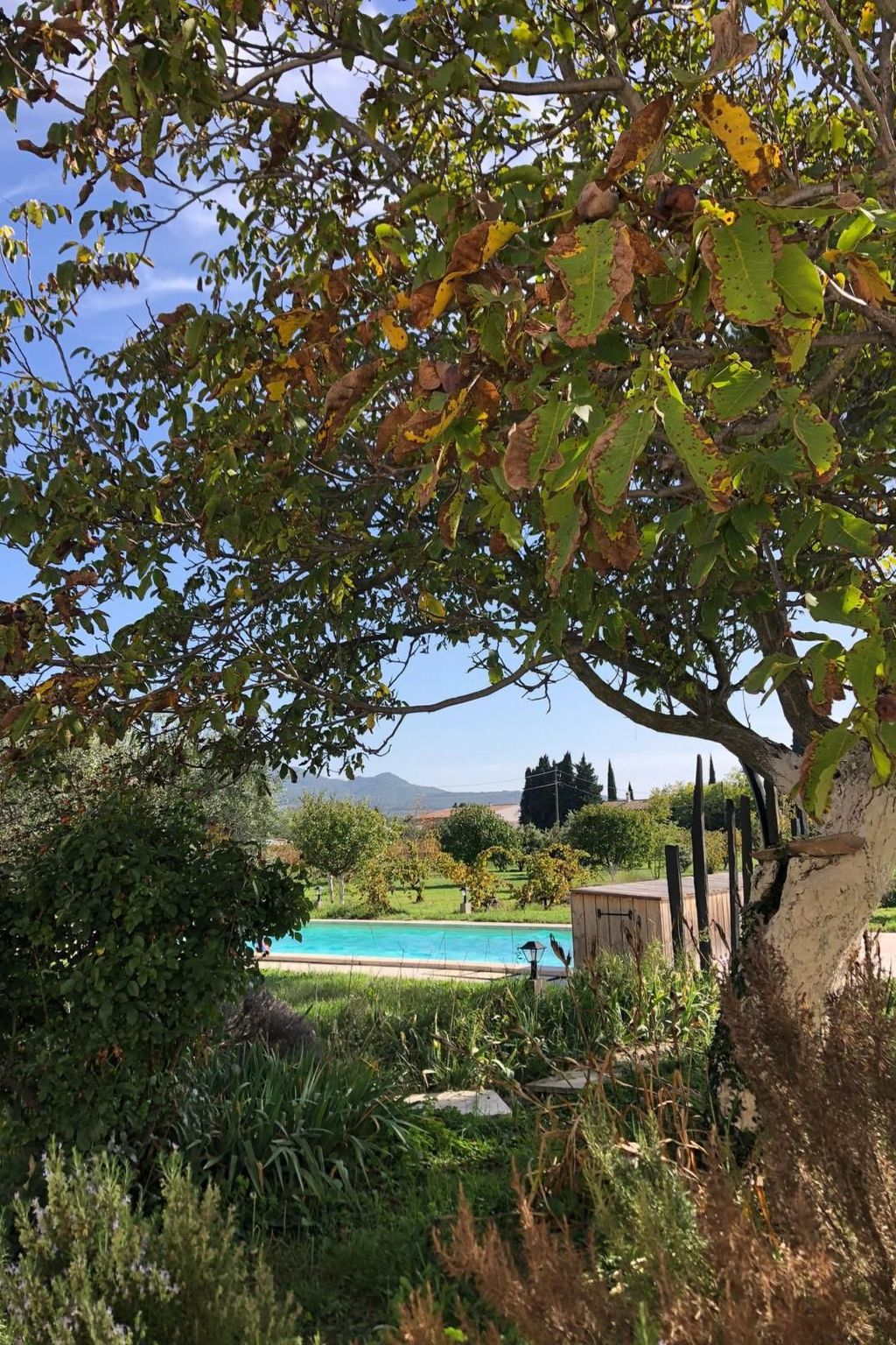 Charmantes Bauernhaus in der Provence-Binnen
