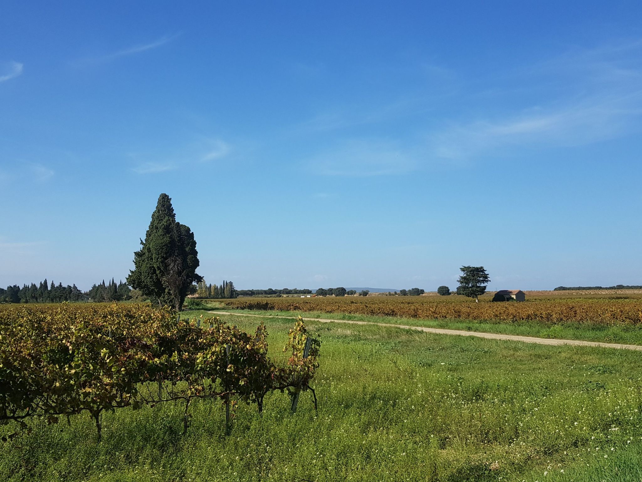 Charmantes Bauernhaus in der Provence-Binnen