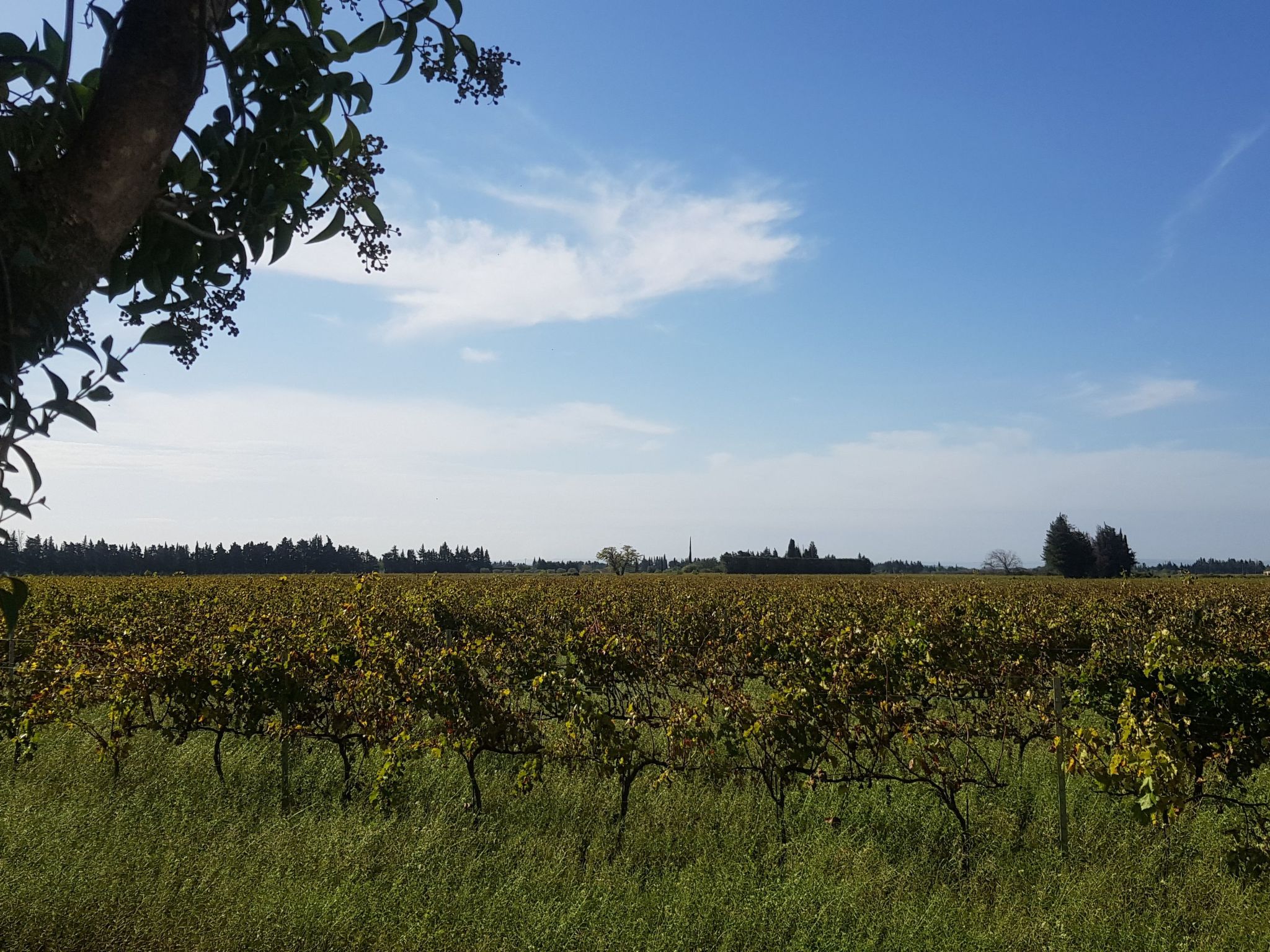 Charmantes Bauernhaus in der Provence-Binnen