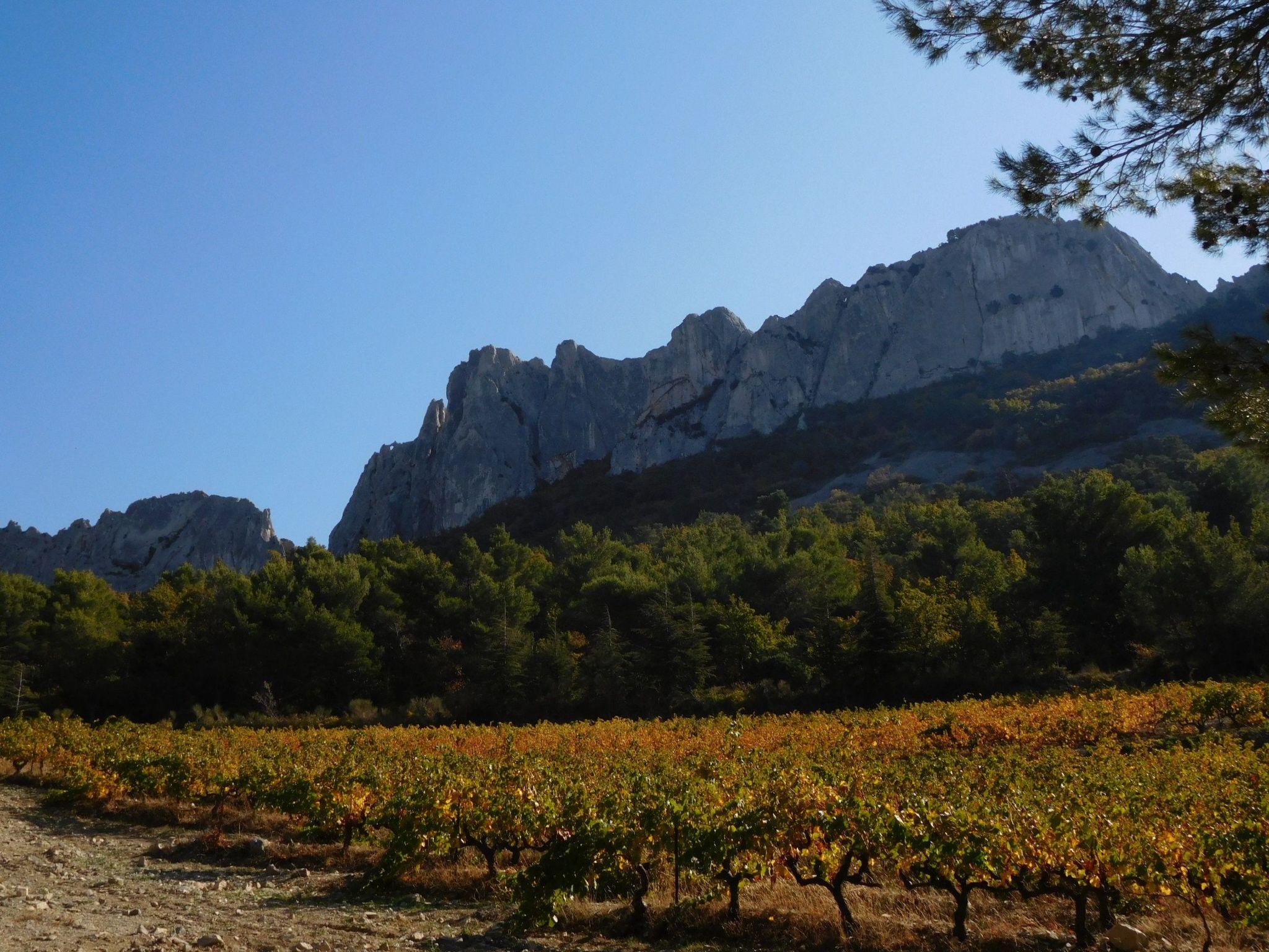 Charmantes Bauernhaus in der Provence-Binnen