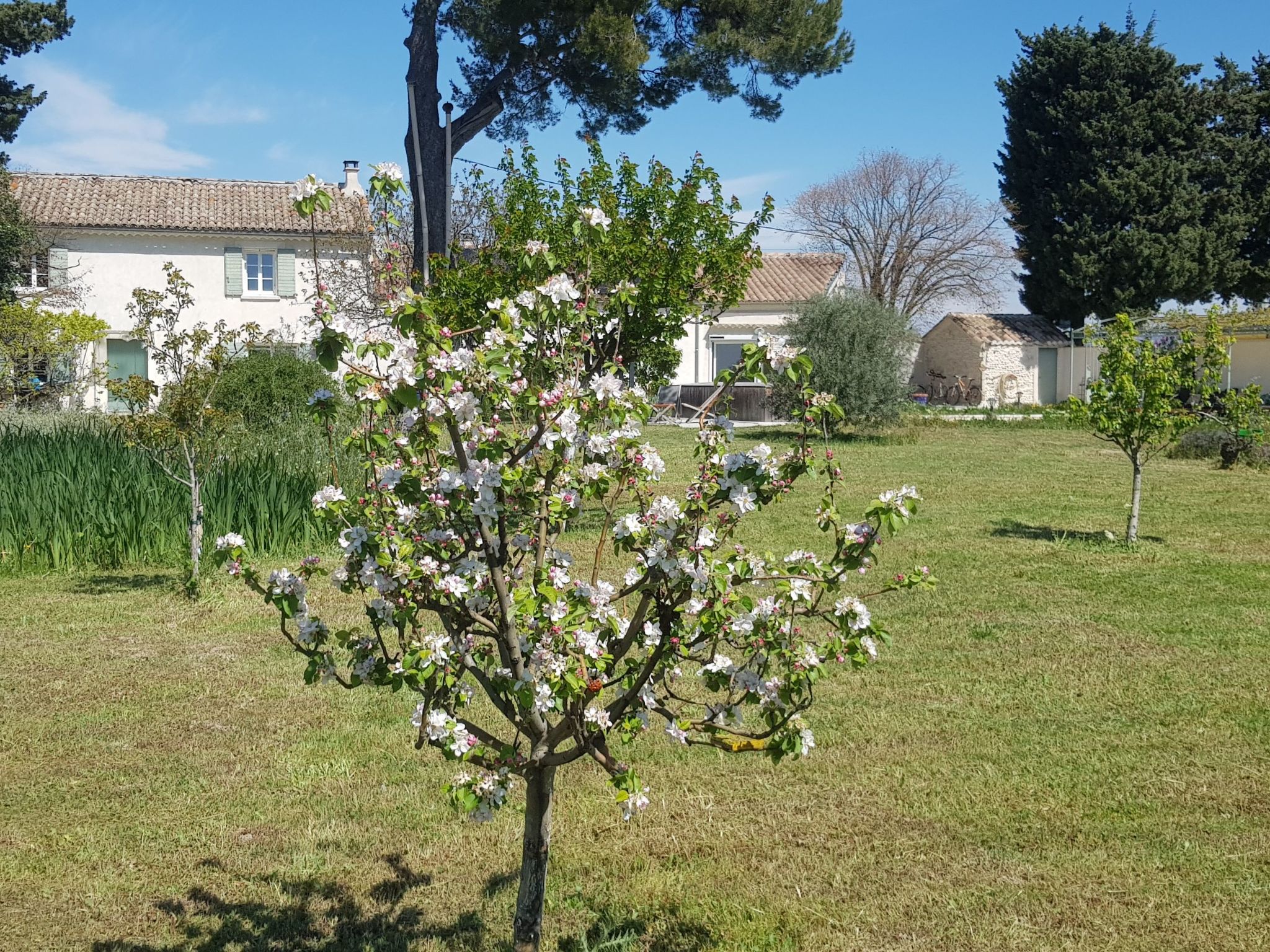 Charmantes Bauernhaus in der Provence-Binnen