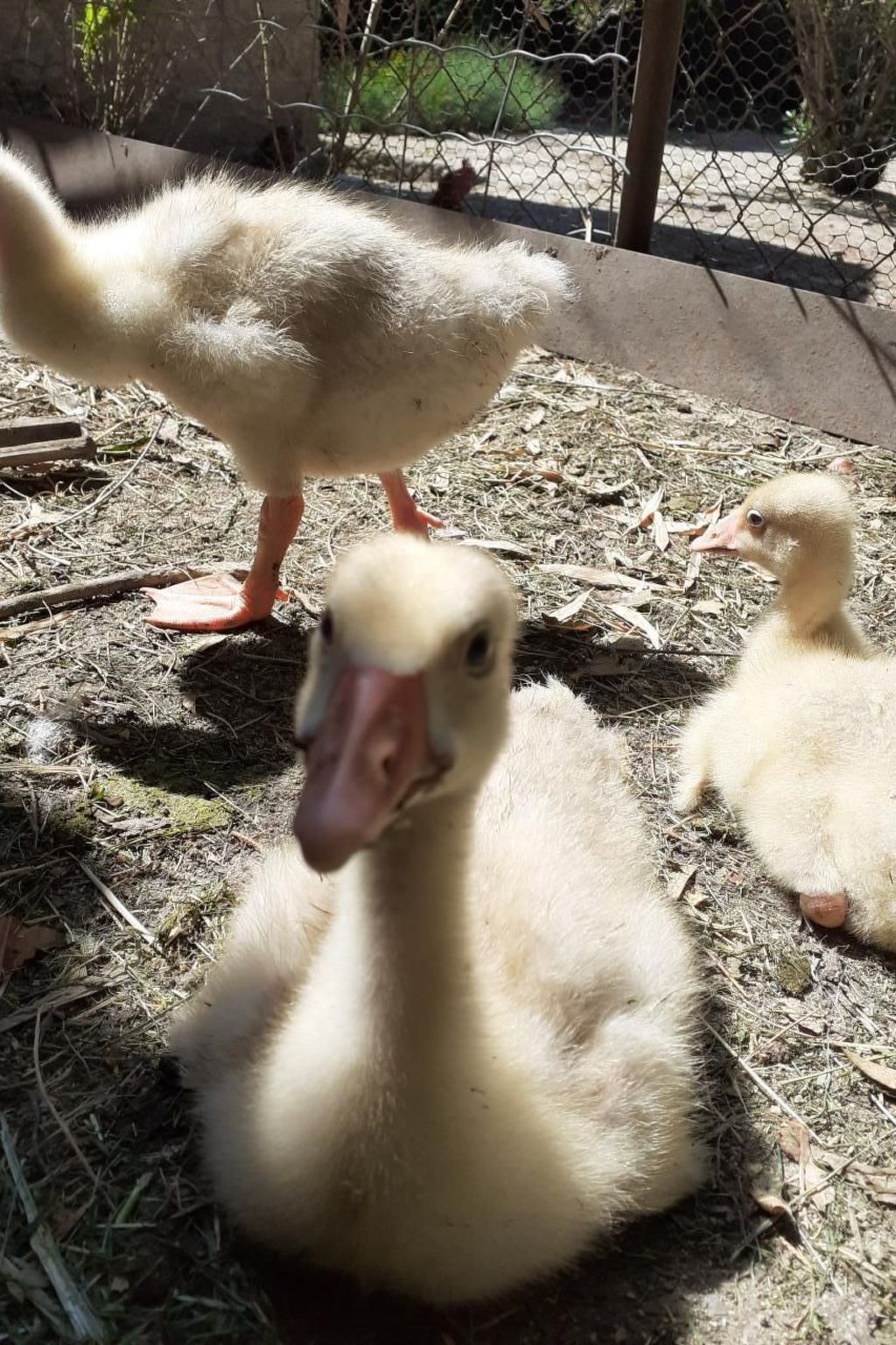 Leonie's Gîte Moulin de Tartay in Avignon-Binnen