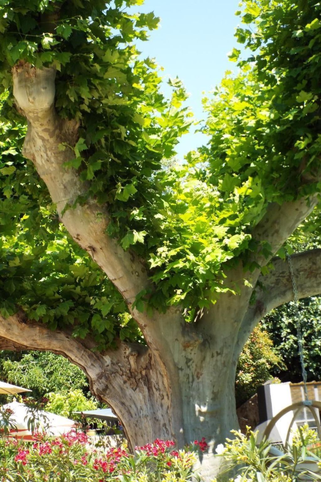 Leonie's Gîte Moulin de Tartay in Avignon-Binnen