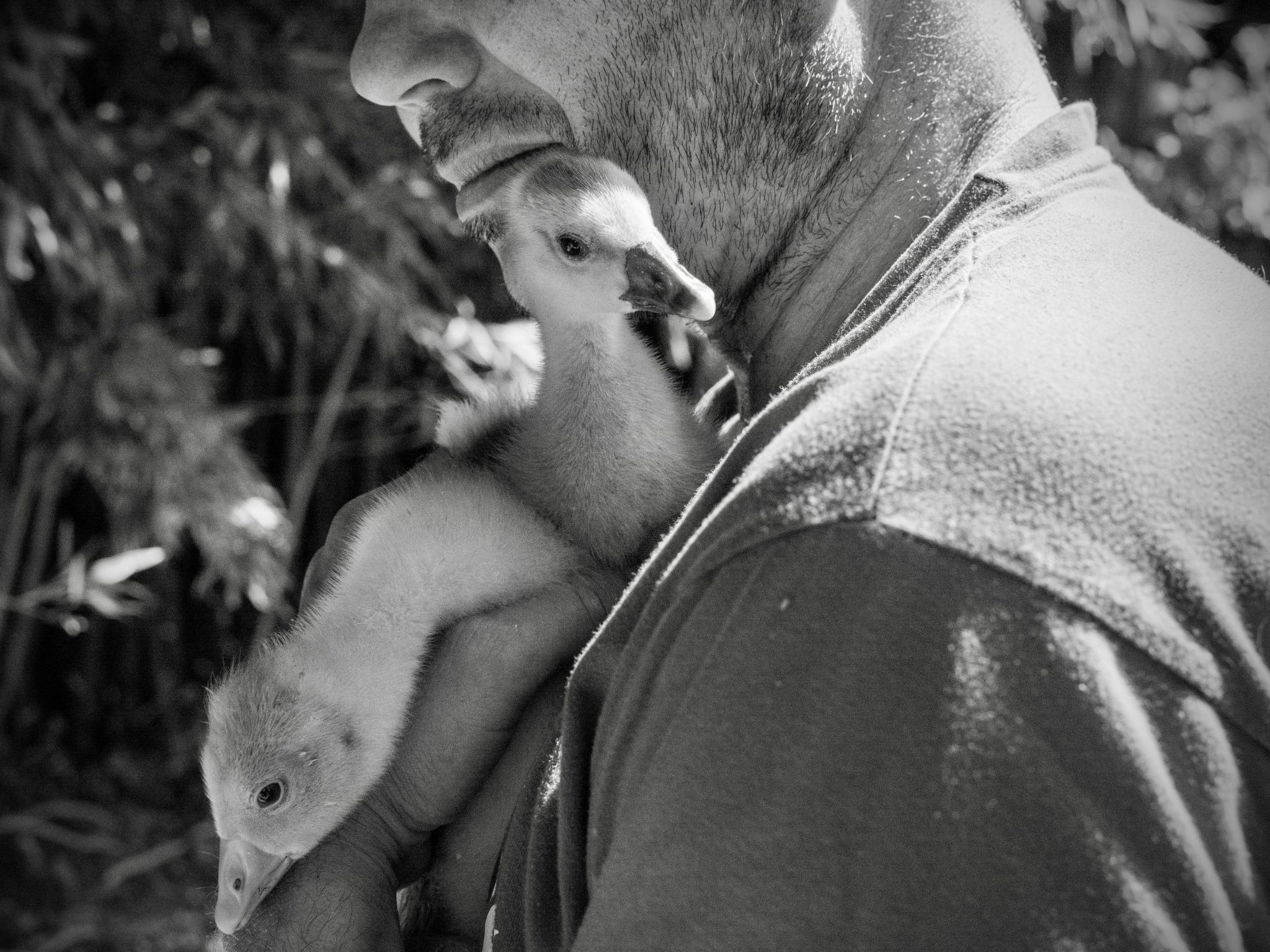 Leonie's Gîte Moulin de Tartay in Avignon-Binnen