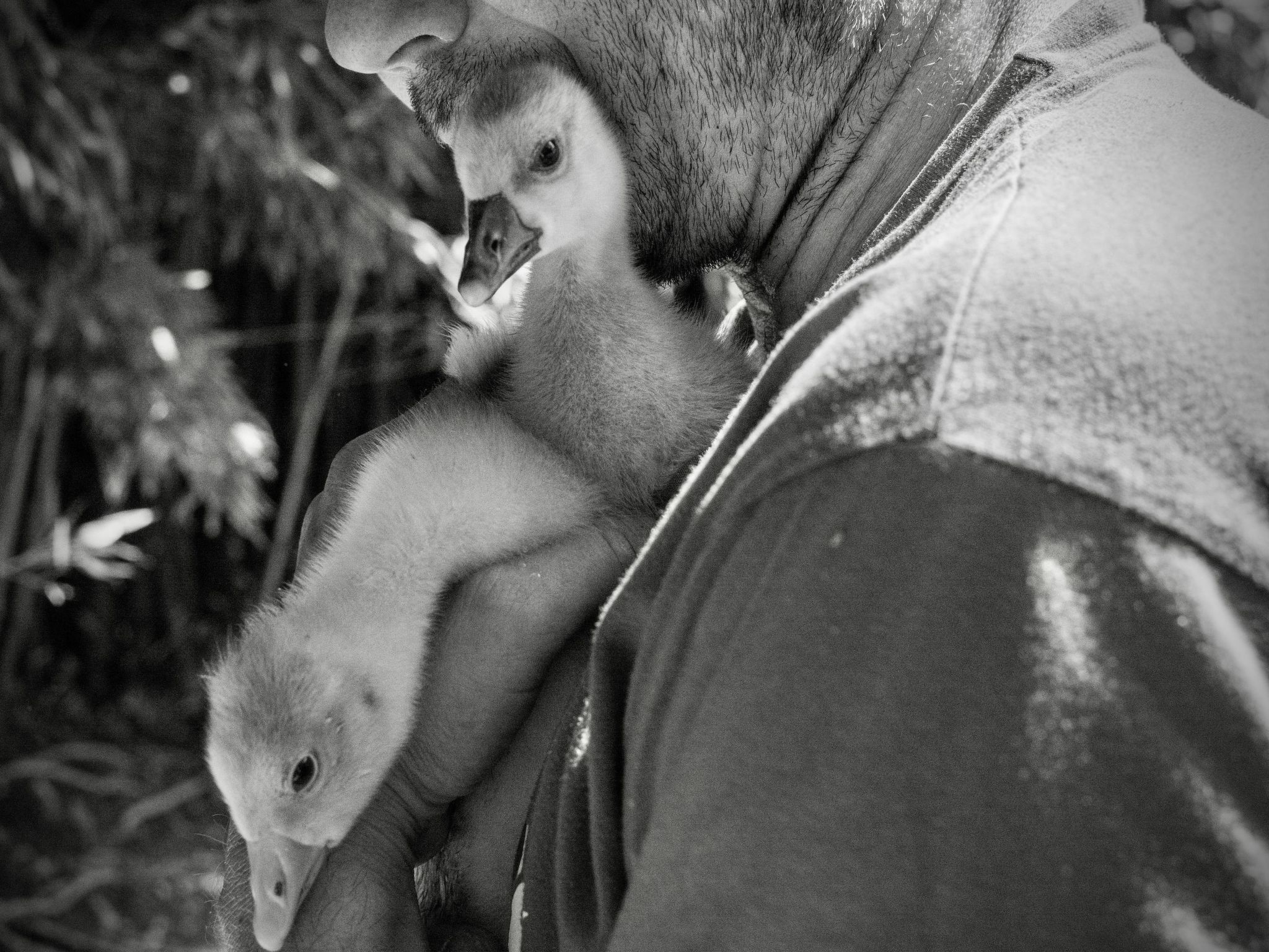 Moulin de Tartay in Avignon-Drinnen
