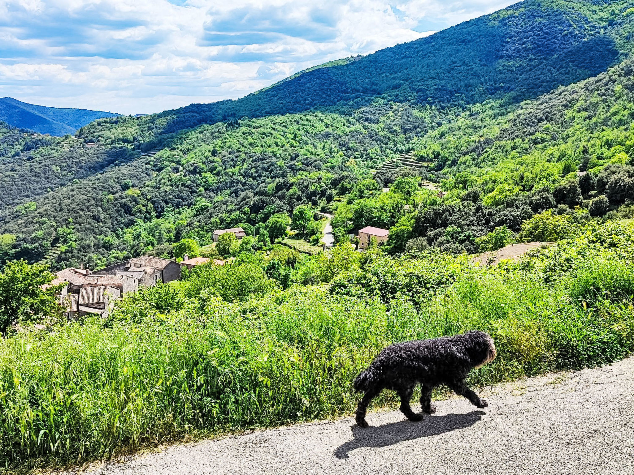 In Saint-Andre-De-Majencoules mit terasse, Garl - Buiten