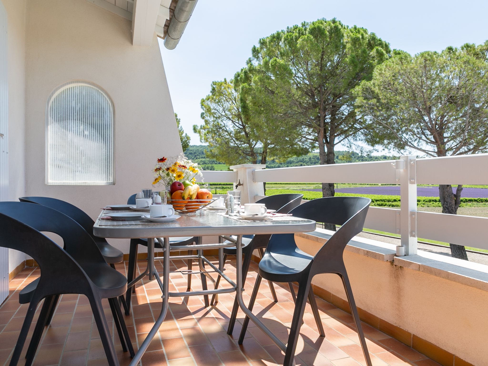 Visan accommodation villas for rent in Visan apartments to rent in Visan holiday homes to rent in Visan