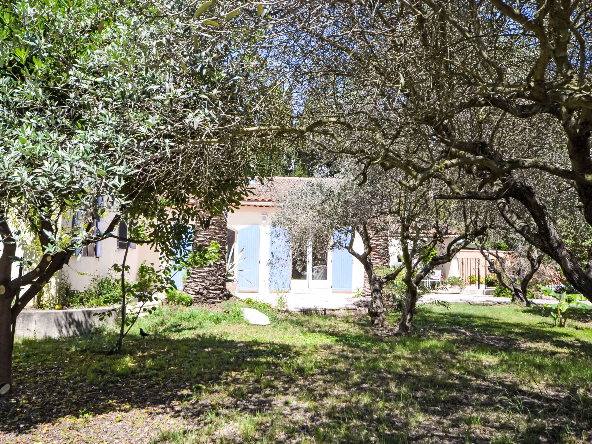 Mas des Lavandes-Buiten
