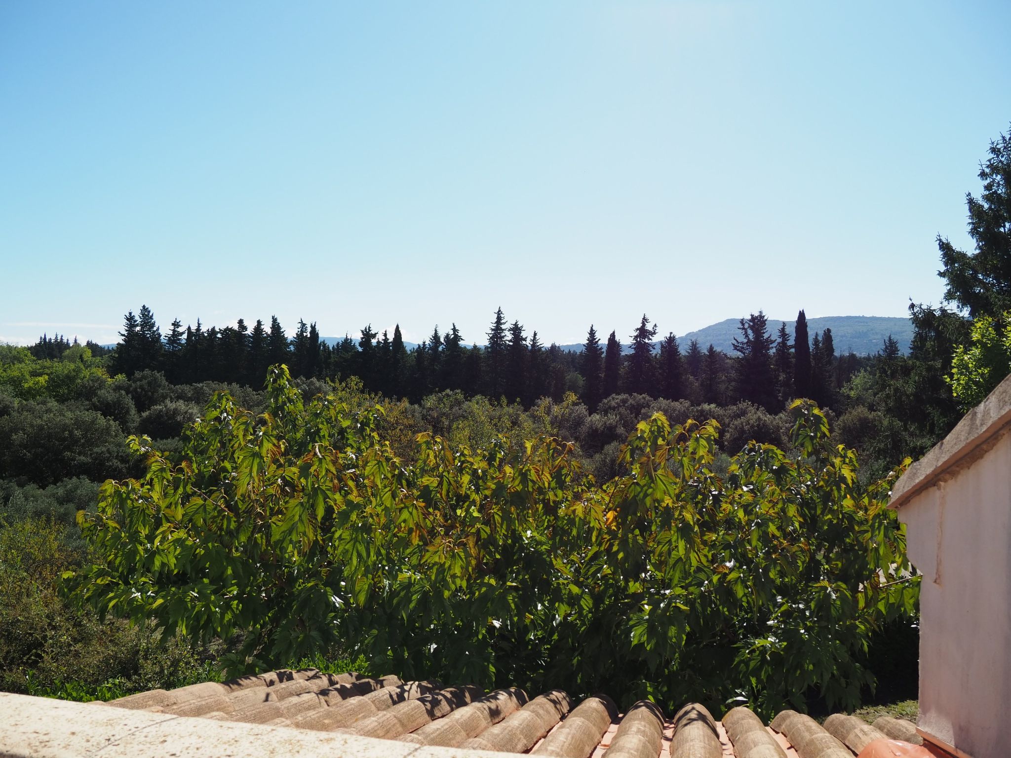 Provenzalisches Haus mit Pool und Garten-Binnen