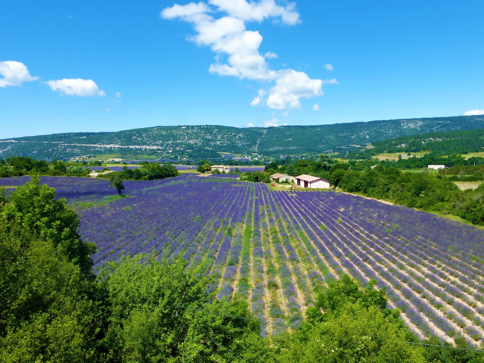 Provenzalisches Haus mit Pool und Garten-Binnen