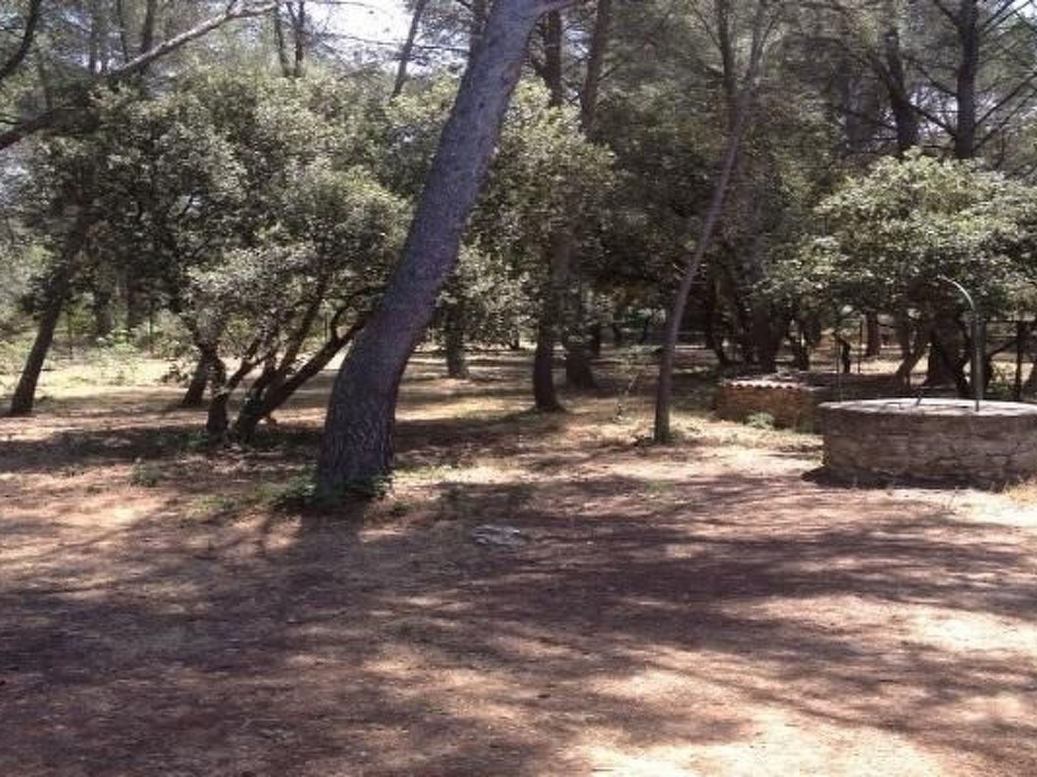 Provence 5 pers 2 Zimmer Schwimmbad Tennis