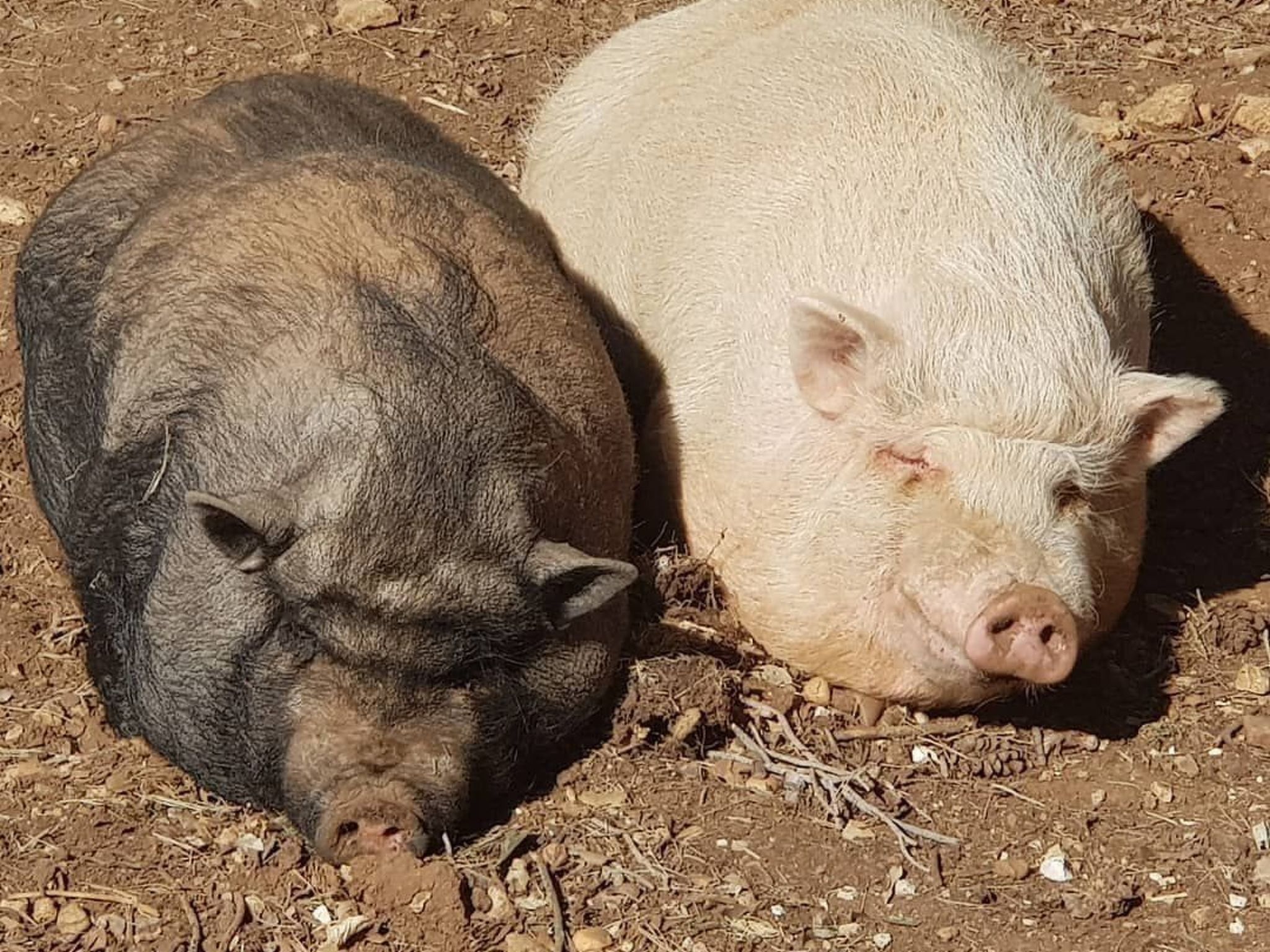 Provence 5 pers 2 Zimmer Schwimmbad Tennis-Image-tags.info