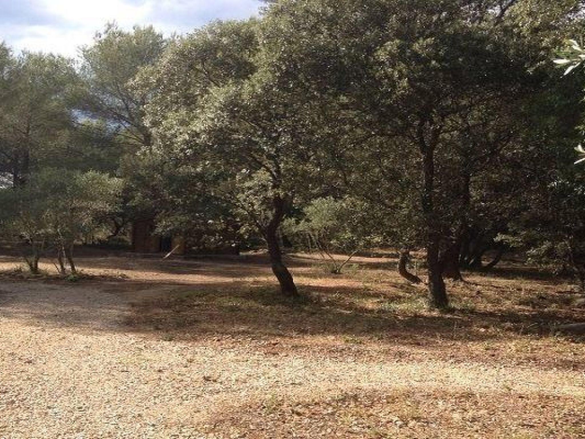 Studiowohnung mit Terrasse - Pool, Tennis, Bouleplatz-Image-tags.info