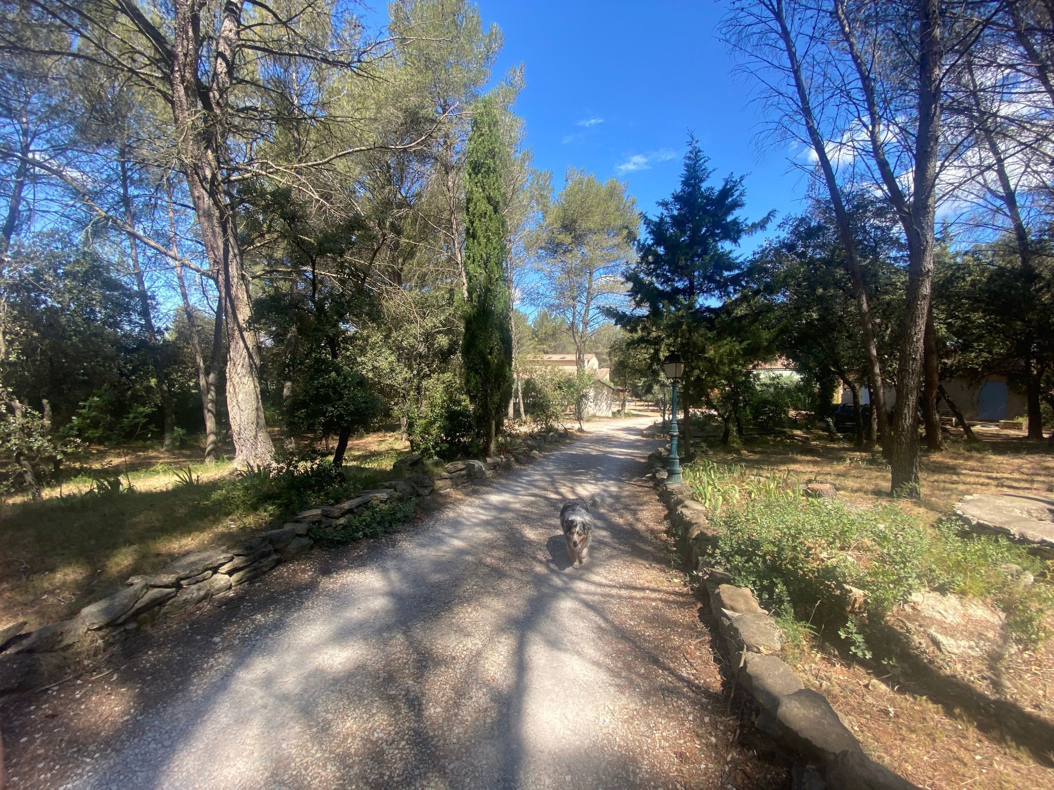 Studiowohnung mit Terrasse - Pool, Tennis, Bouleplatz-Image-tags.info