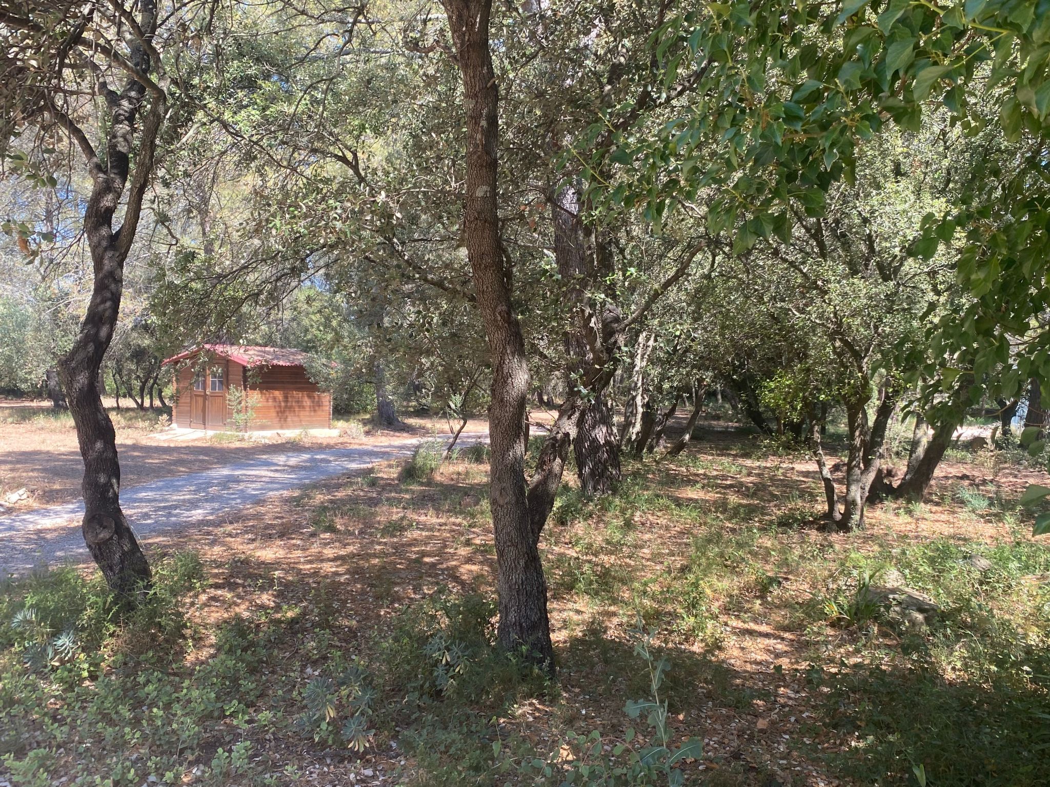 Studiowohnung mit Terrasse - Pool, Tennis, Bouleplatz-Image-tags.info