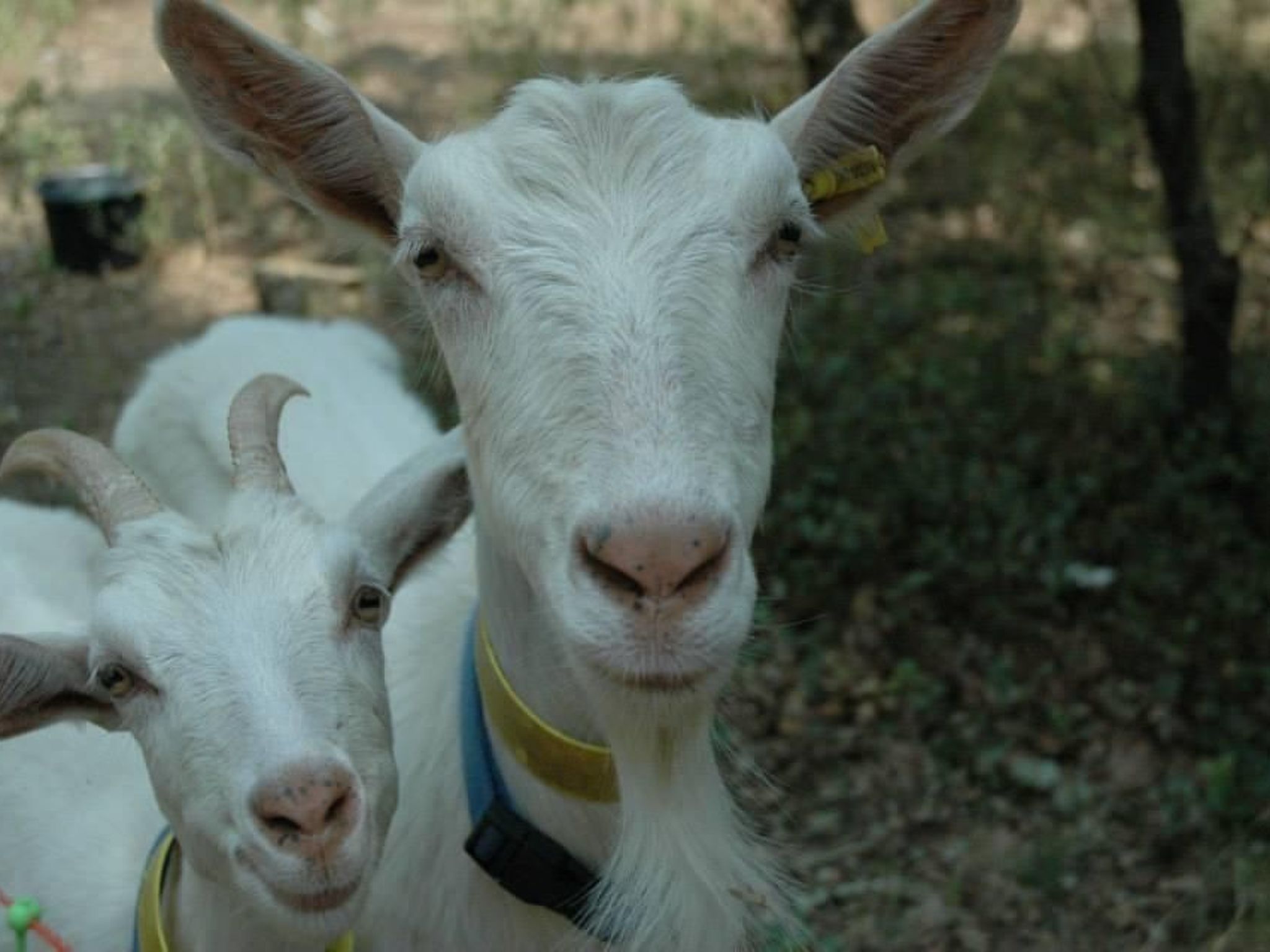 Studiowohnung mit Terrasse - Pool, Tennis, Bouleplatz-Image-tags.info