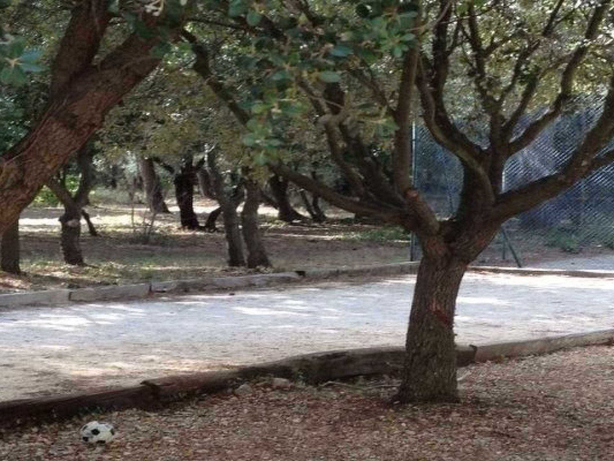 Studiowohnung mit Terrasse - Pool, Tennis, Bouleplatz-Image-tags.info