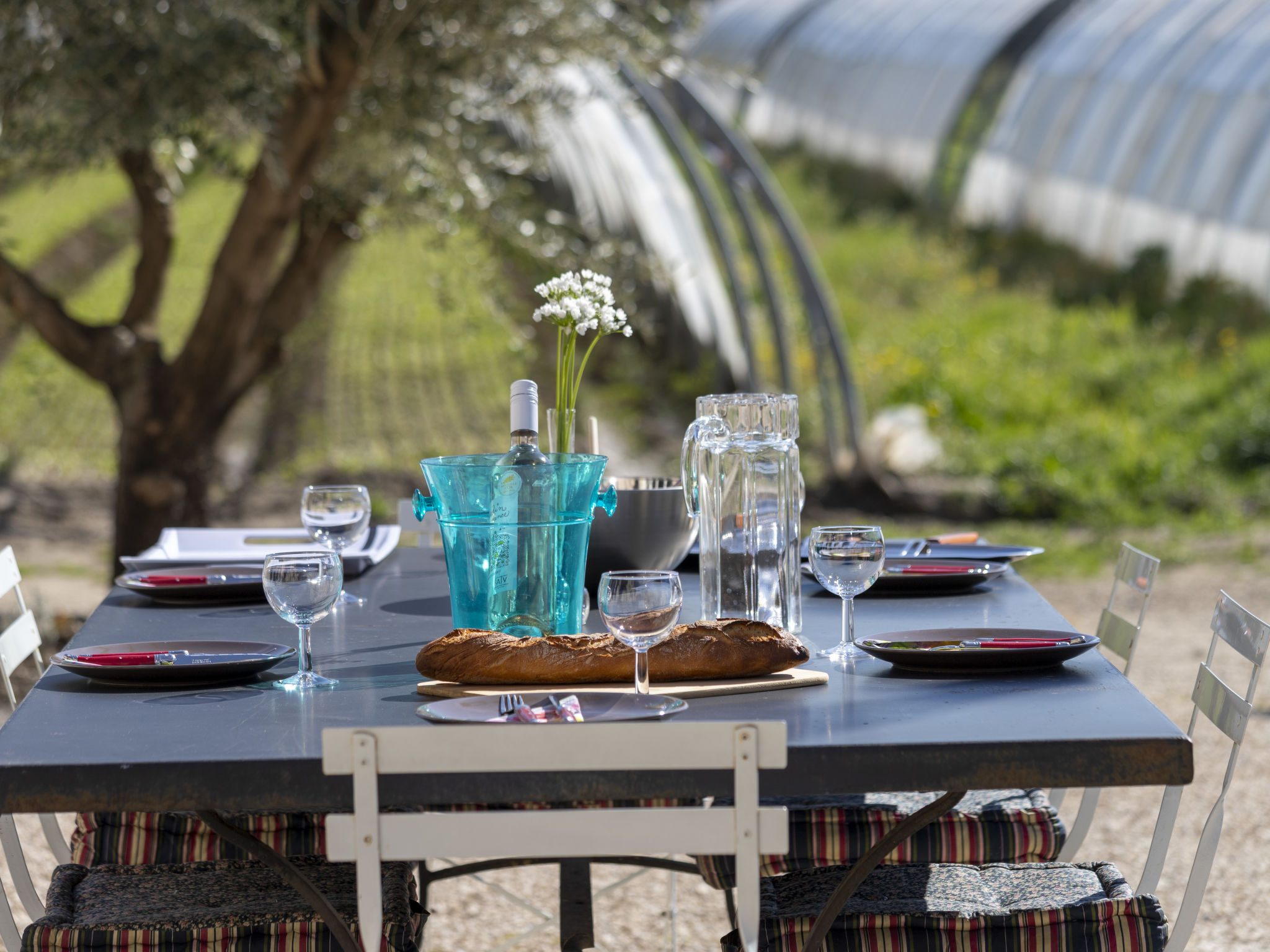 Holiday Rental Accommodation