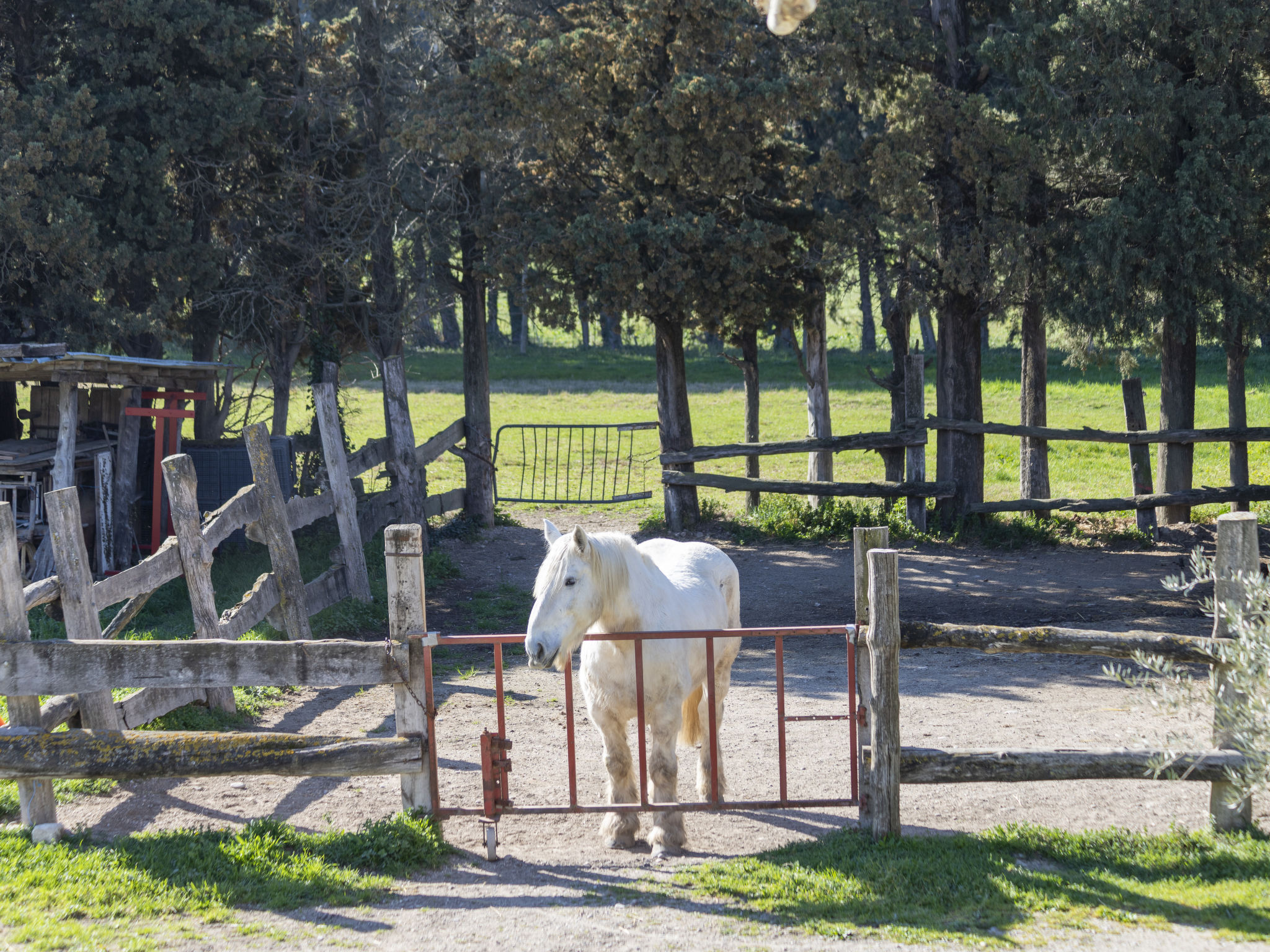 Holiday Rental Accommodation