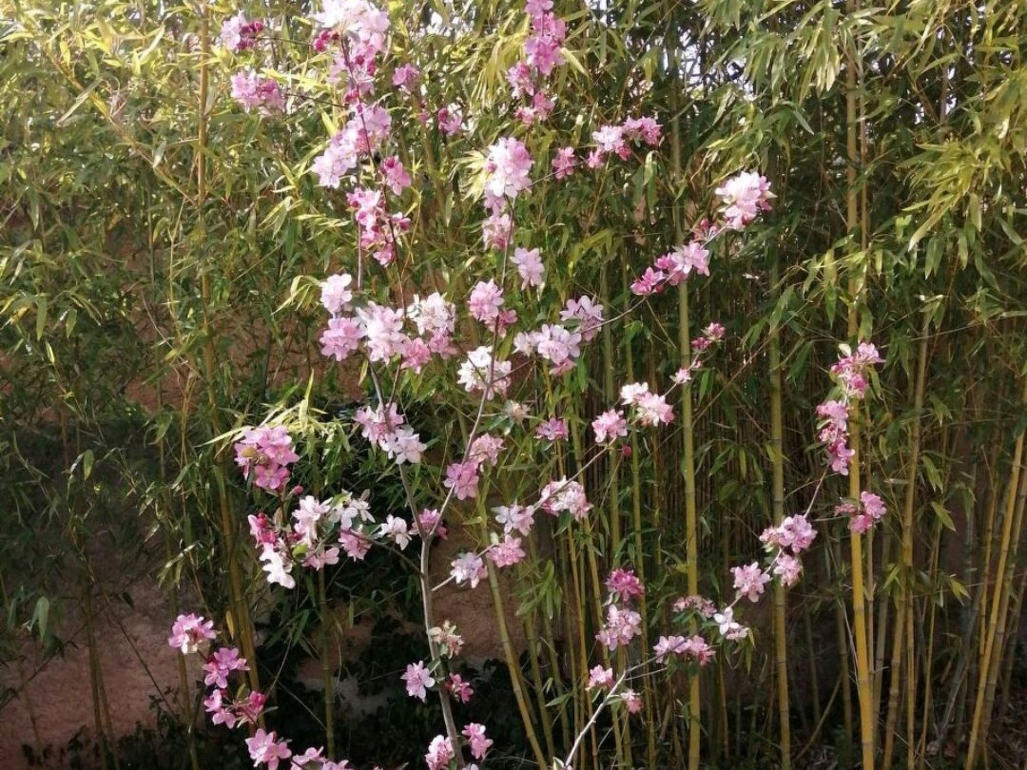 Photo of Haus mit Charme Landschaft von Aix