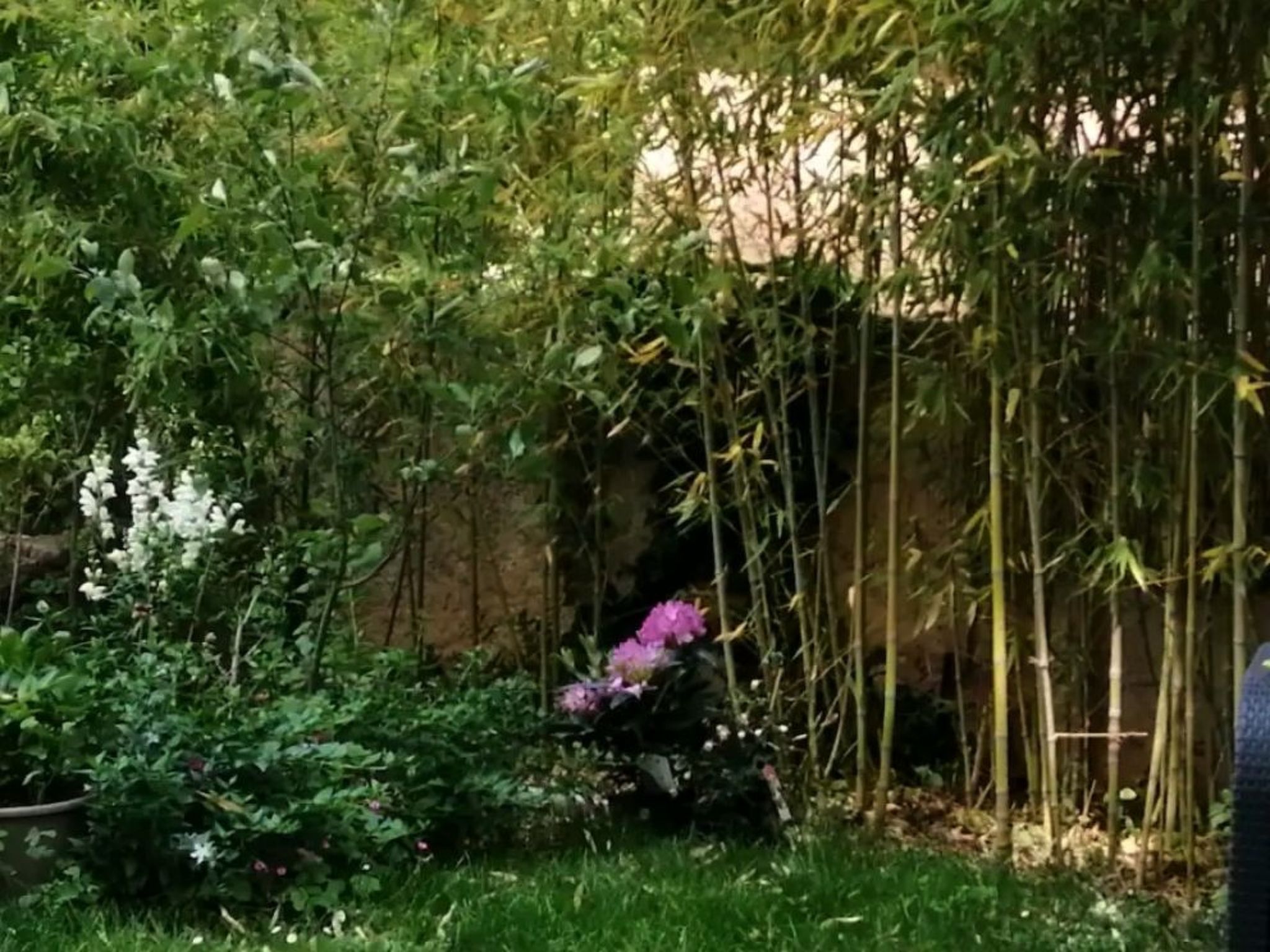 Photo of Haus mit Charme Landschaft von Aix