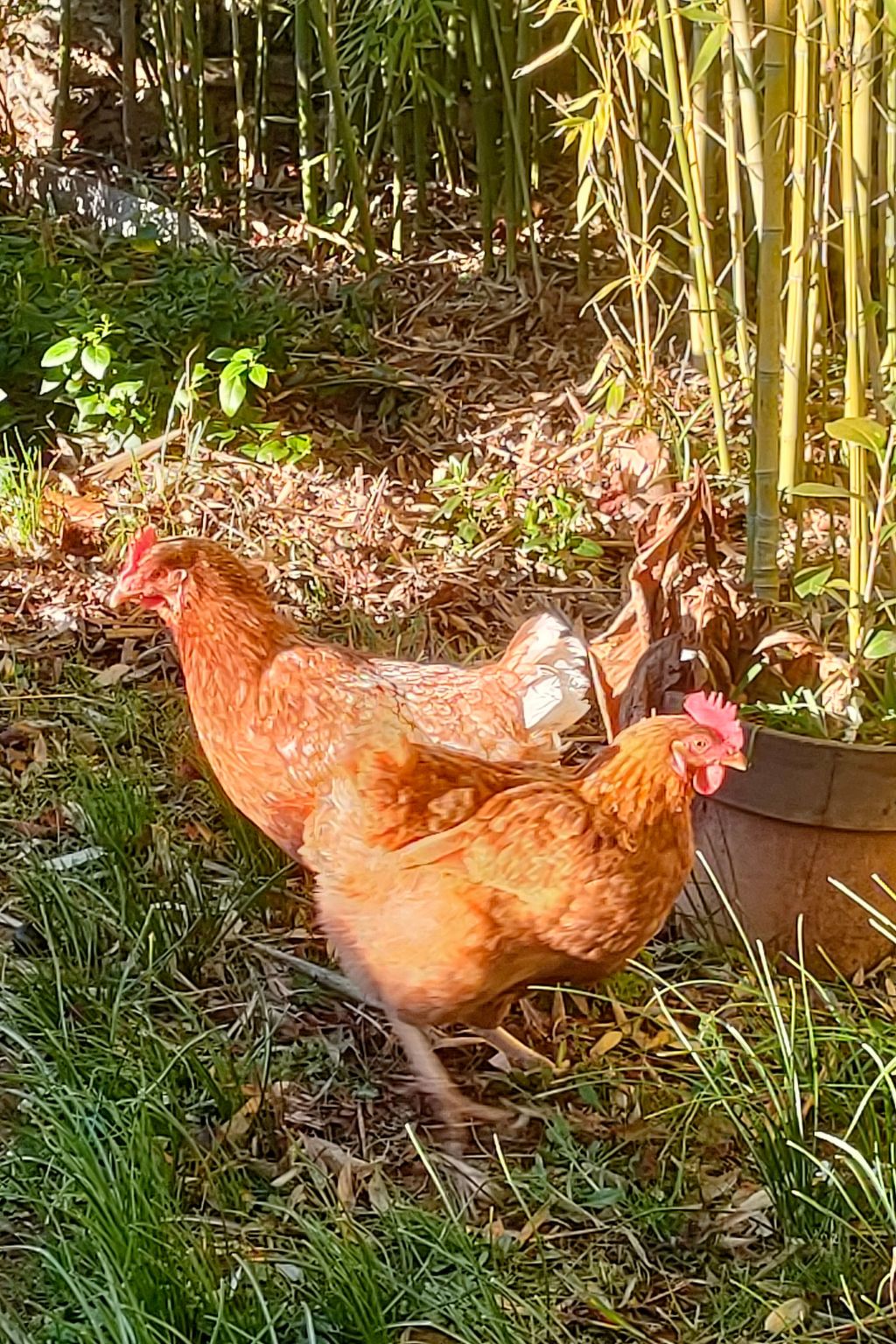 Photo of Haus mit Charme Landschaft von Aix