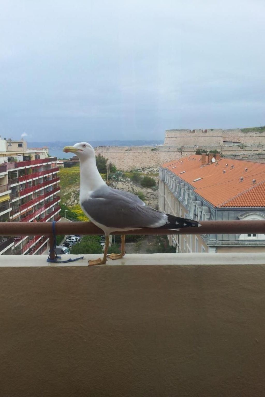 Möbliertes Studio Agachadou 25m2 mit 3 Terrassen 36m2-Binnen