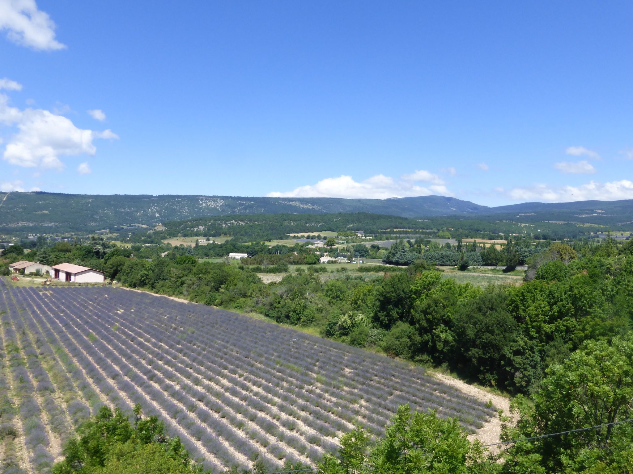 Charmantes Haus mit Pool und Garten-Inside