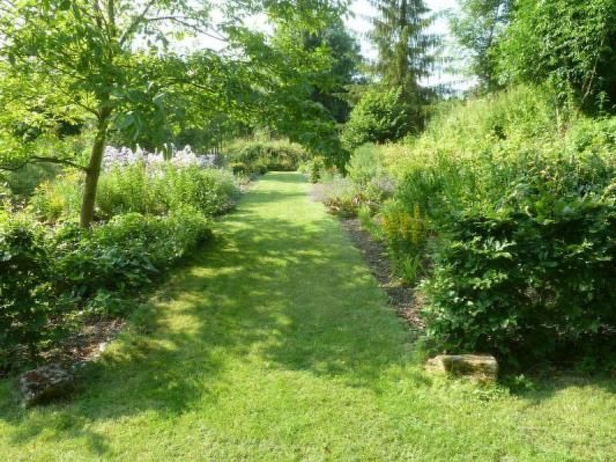 The Water Mill of Tourteron-Buiten