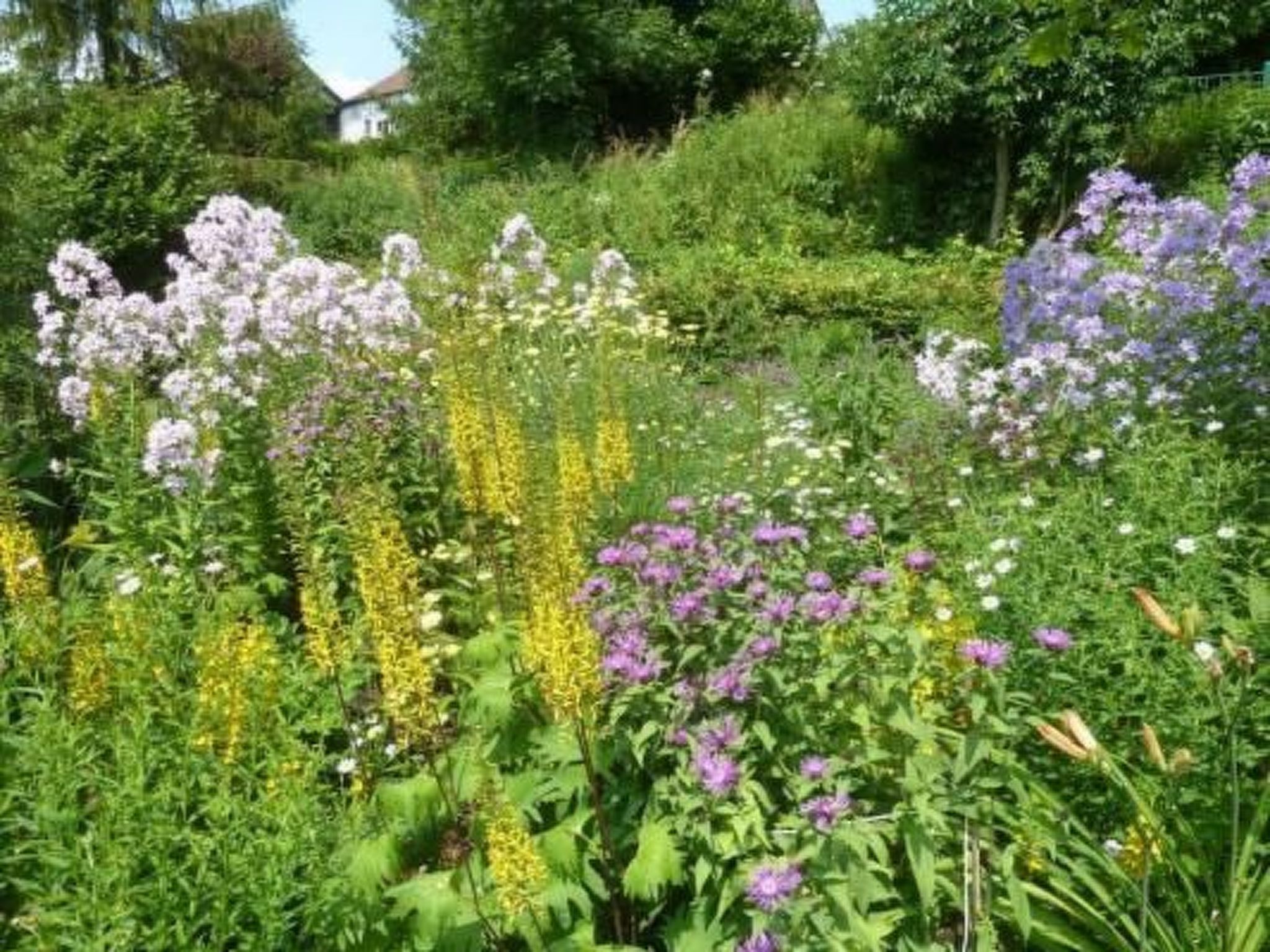 The Water Mill of Tourteron-Image-tags.info