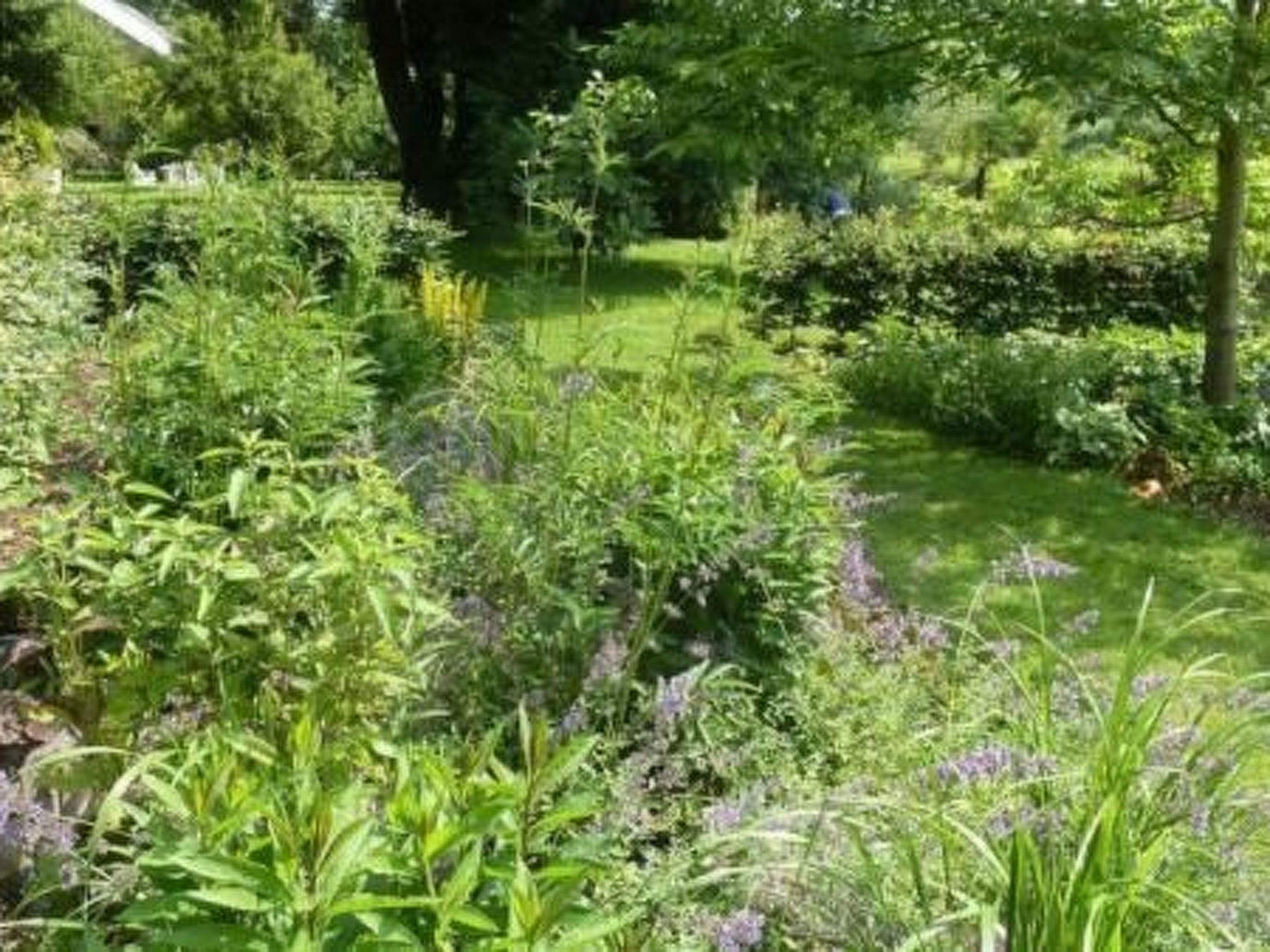 The Water Mill of Tourteron-Buiten