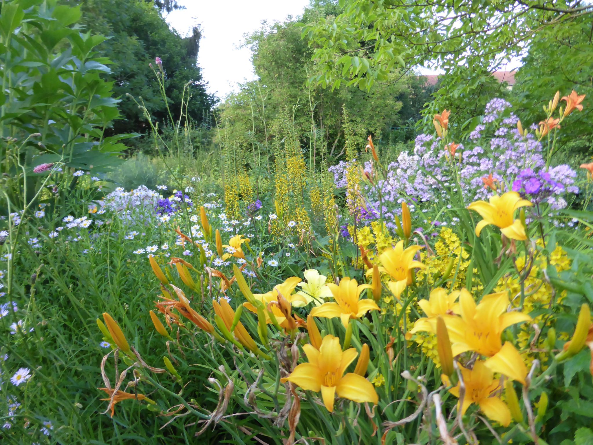 The Water Mill of Tourteron-Buiten