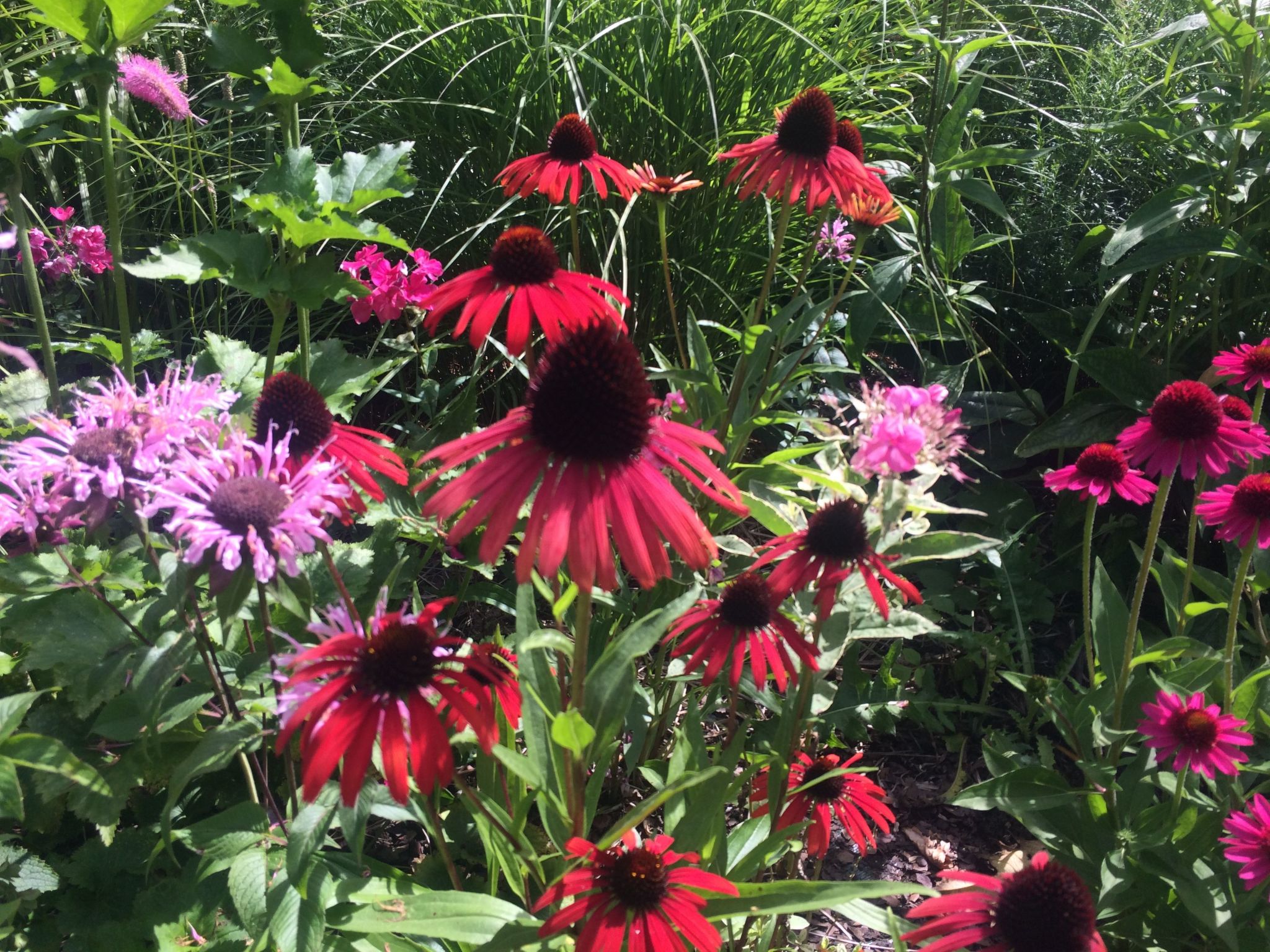The Water Mill of Tourteron-Buiten
