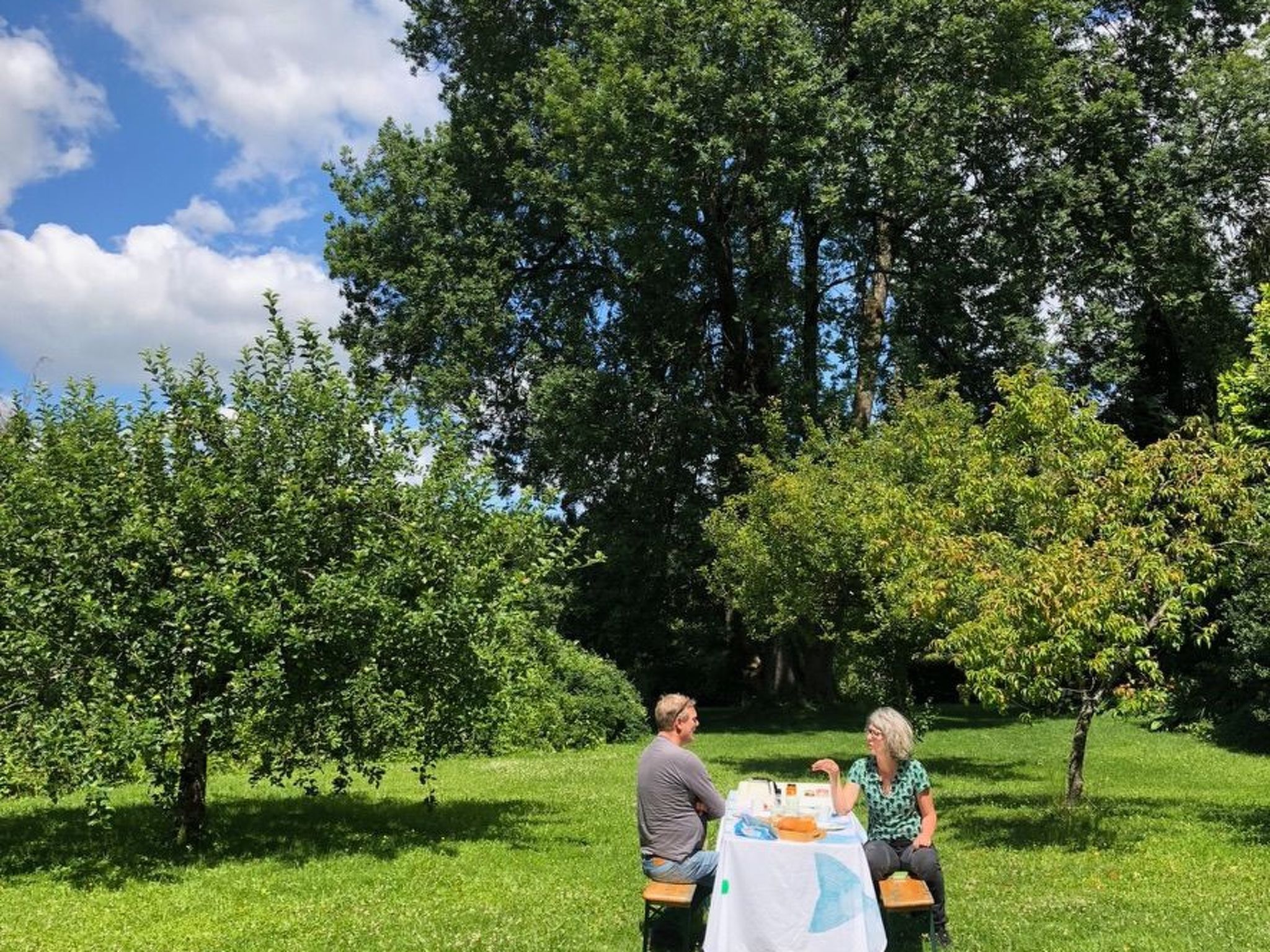 The Water Mill of Tourteron-Buiten