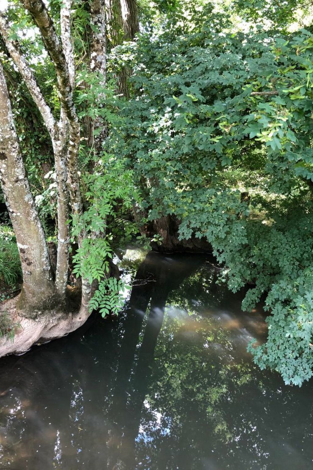 The Water Mill of Tourteron-Buiten