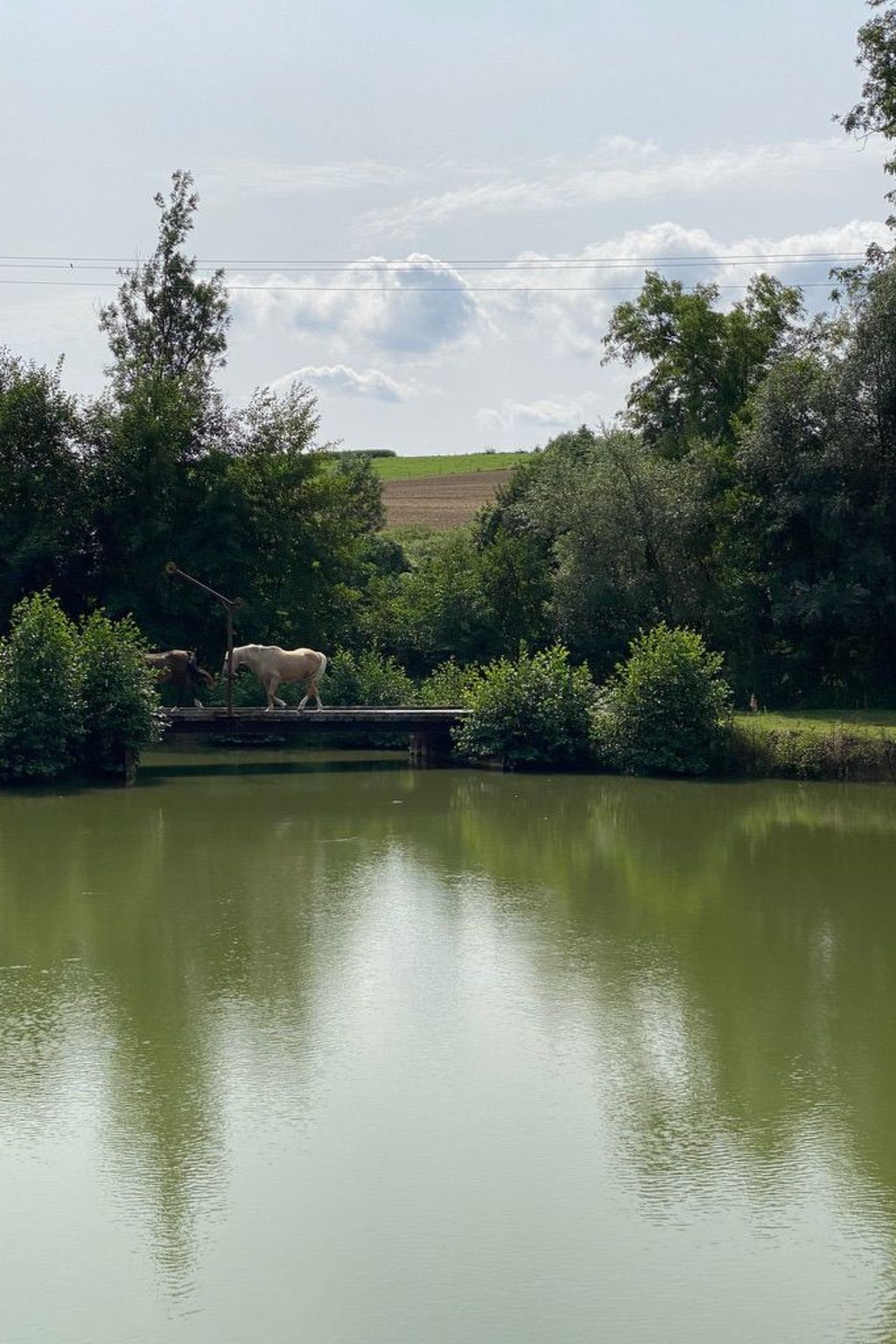 The Water Mill of Tourteron-Image-tags.info