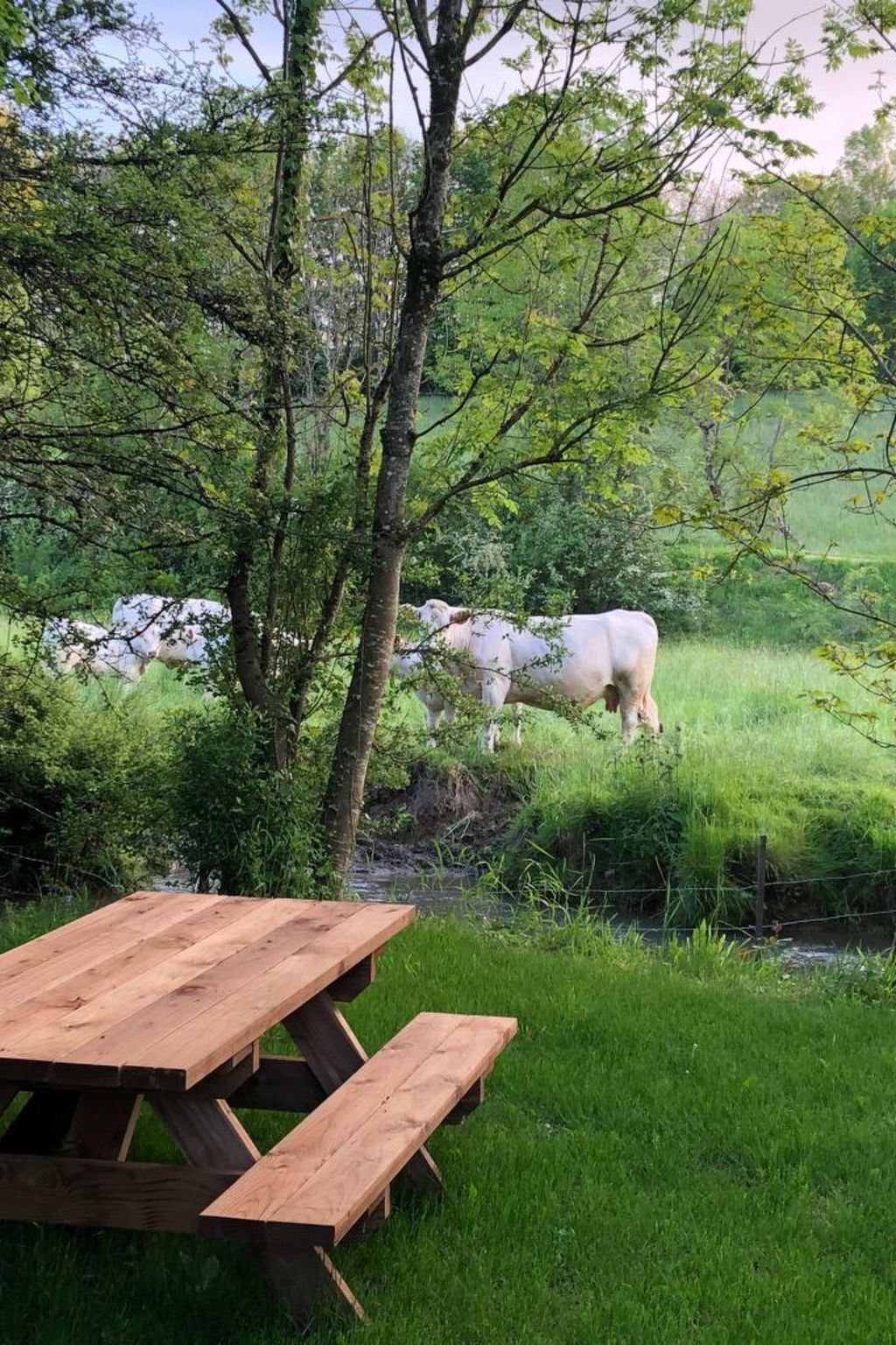 The Water Mill of Tourteron-Buiten