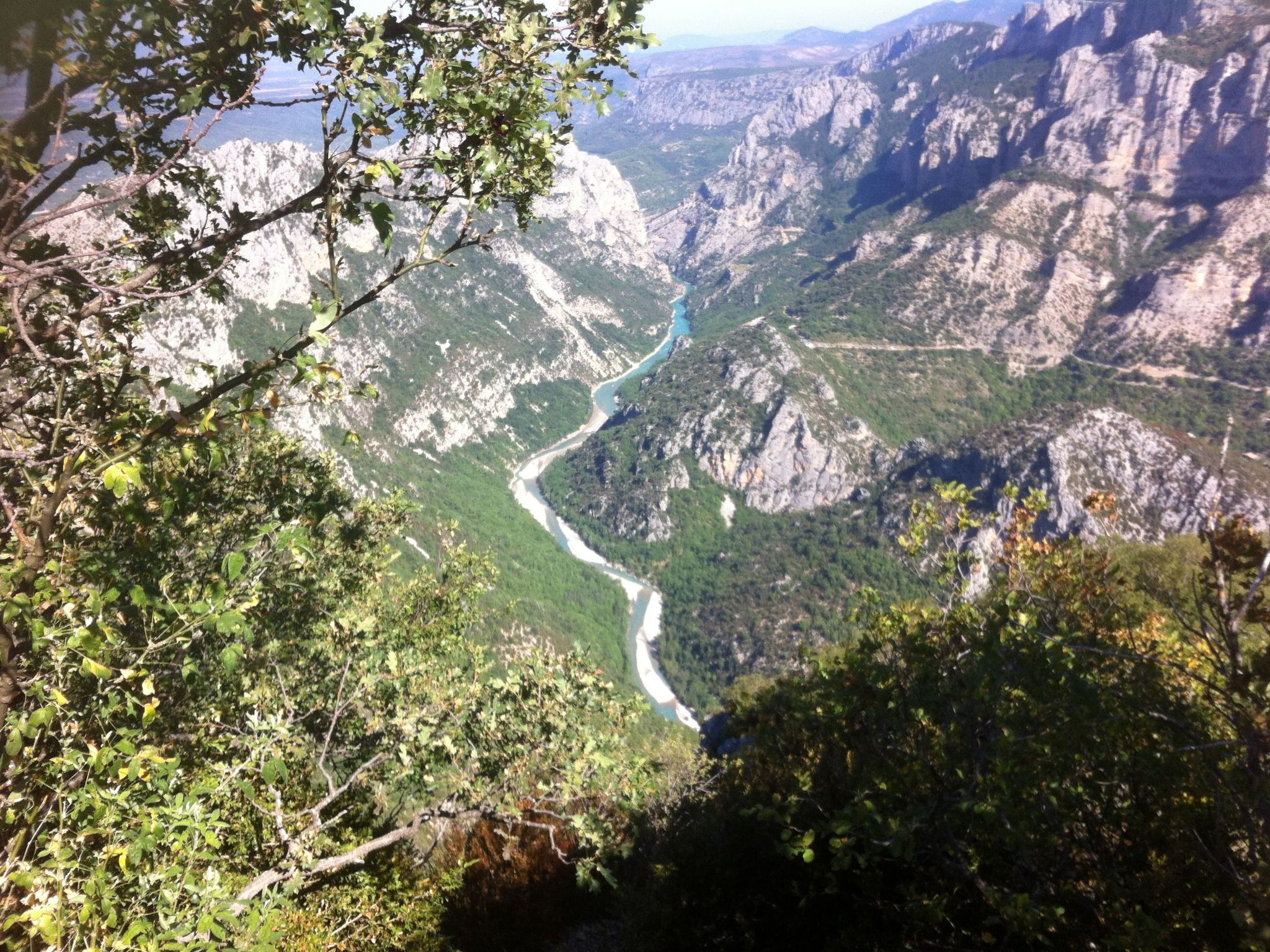 Les amandiers-Image-tags.info